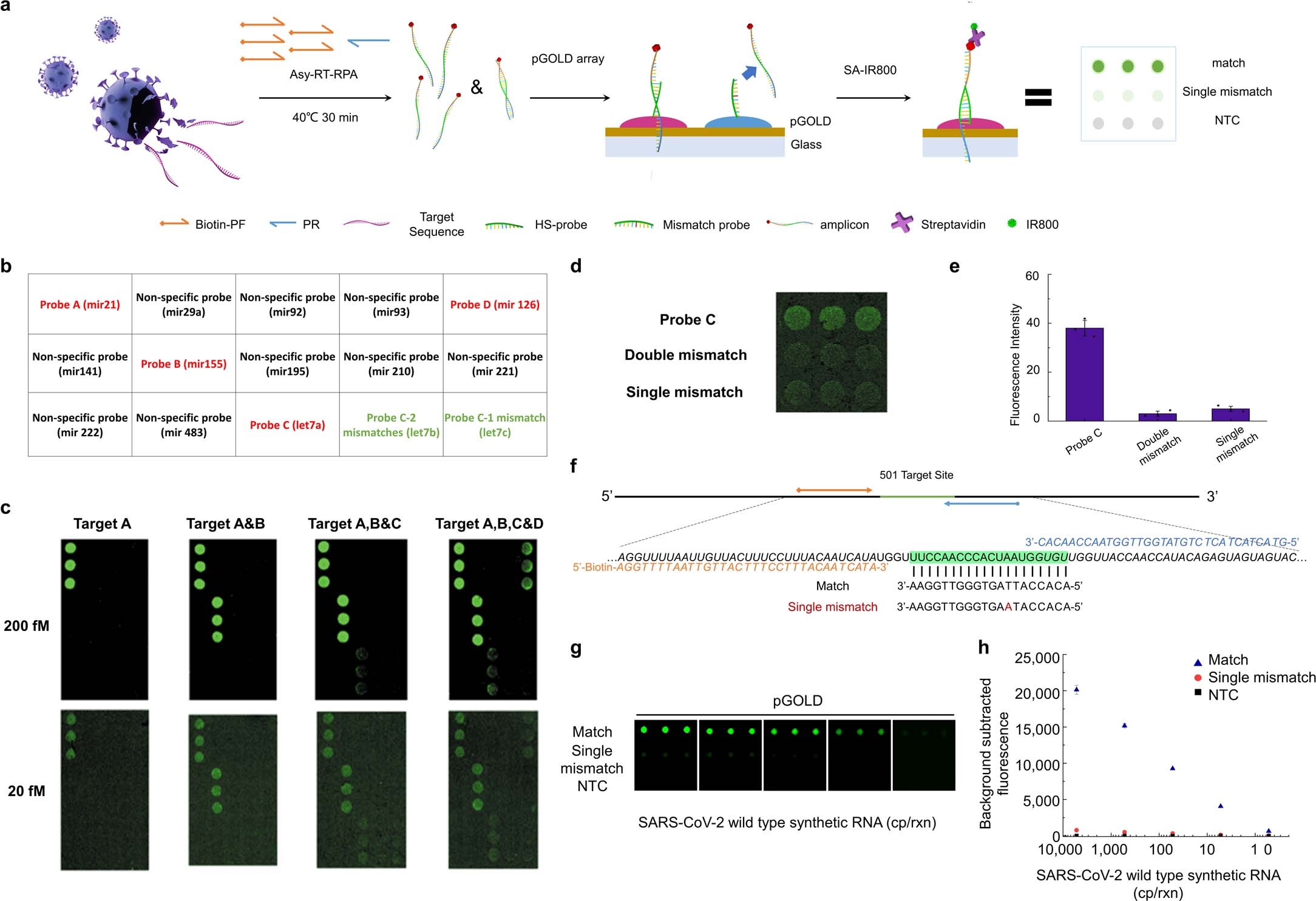 Extended Data Fig. 3: Multiplexed DNA sensing on the FEMMAN chip.