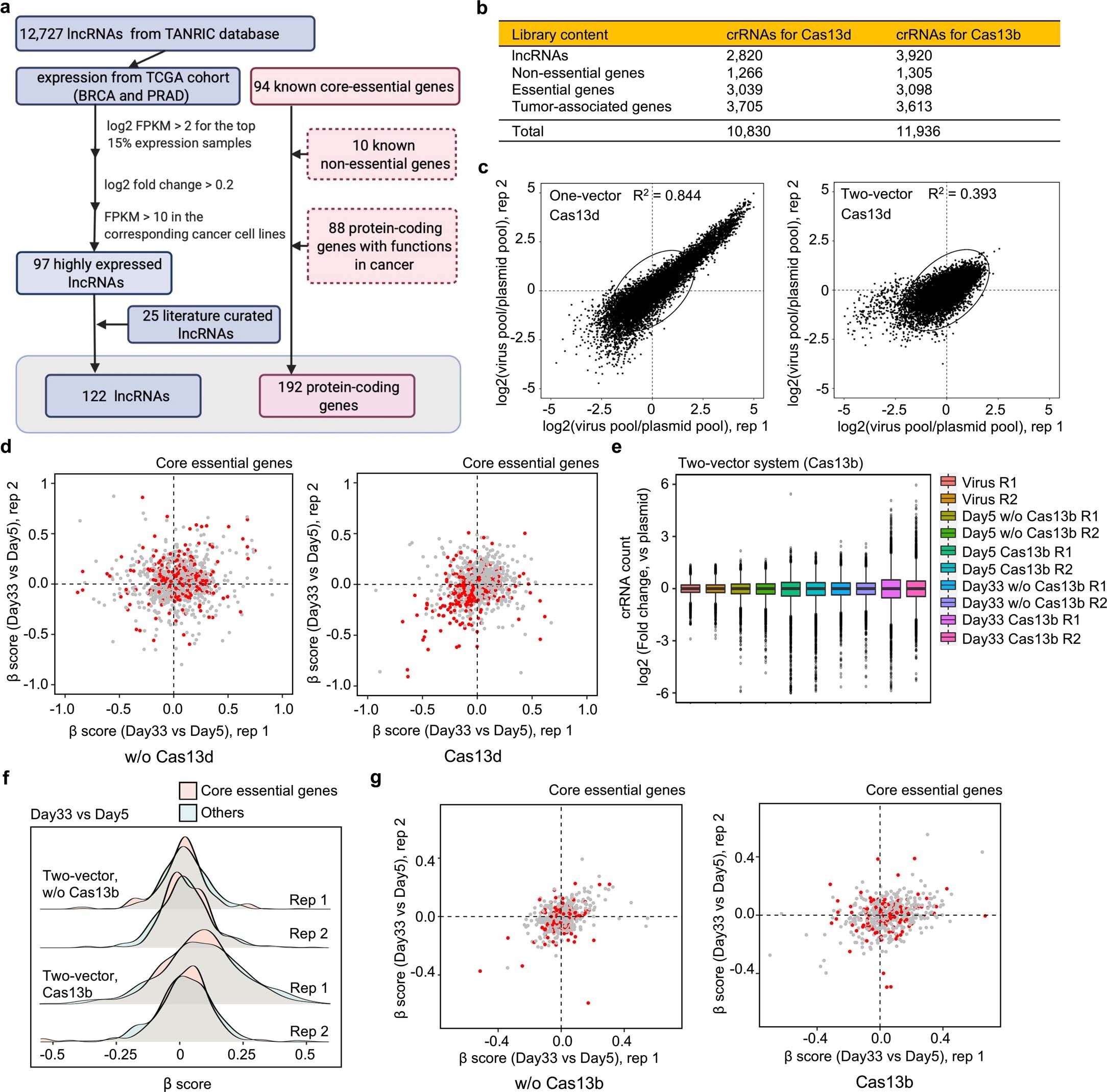 Extended Data Fig. 9: Cas13b/d-based cell fitness screens.