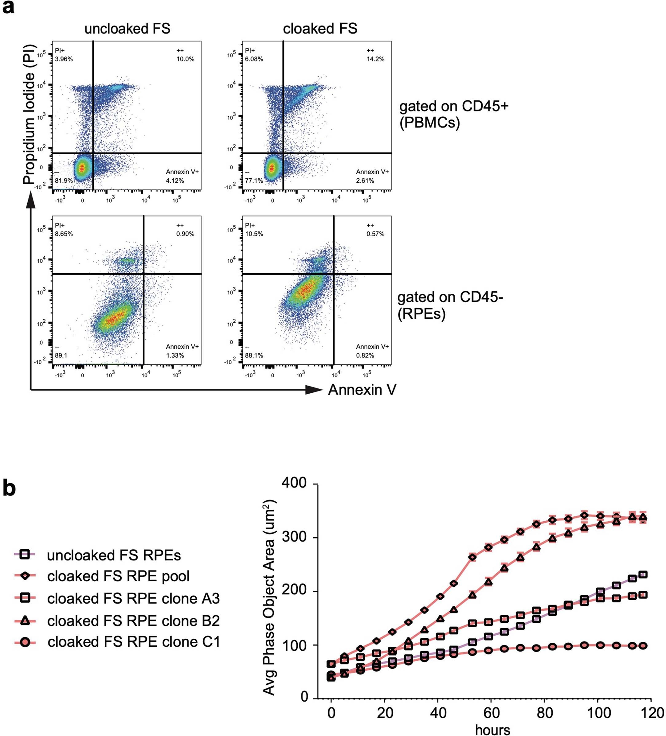Extended Data Fig. 7: In vitro co-culture of human PBMCs and uncloaked FS or cloaked FS human RPEs.