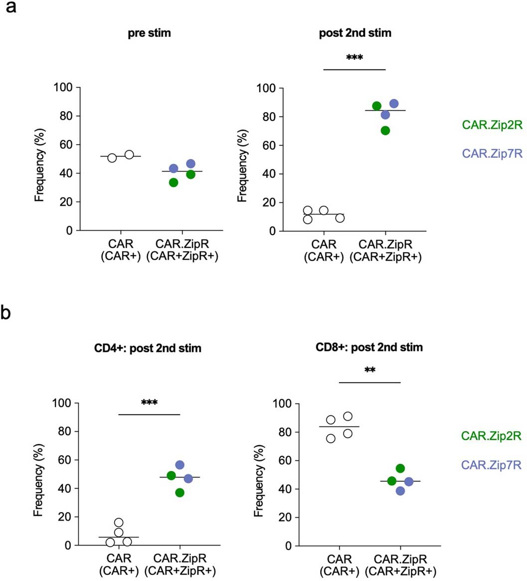 Extended Data Fig. 5: Phenotypic analysis of B7-H3-CAR T cells following stimulation with A549 WT.
