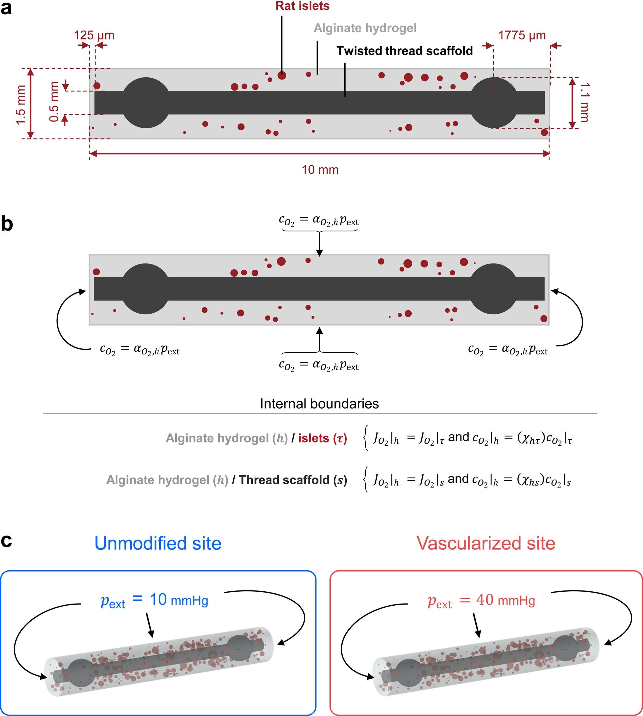Extended Data Fig. 3: Model physics and boundary conditions.