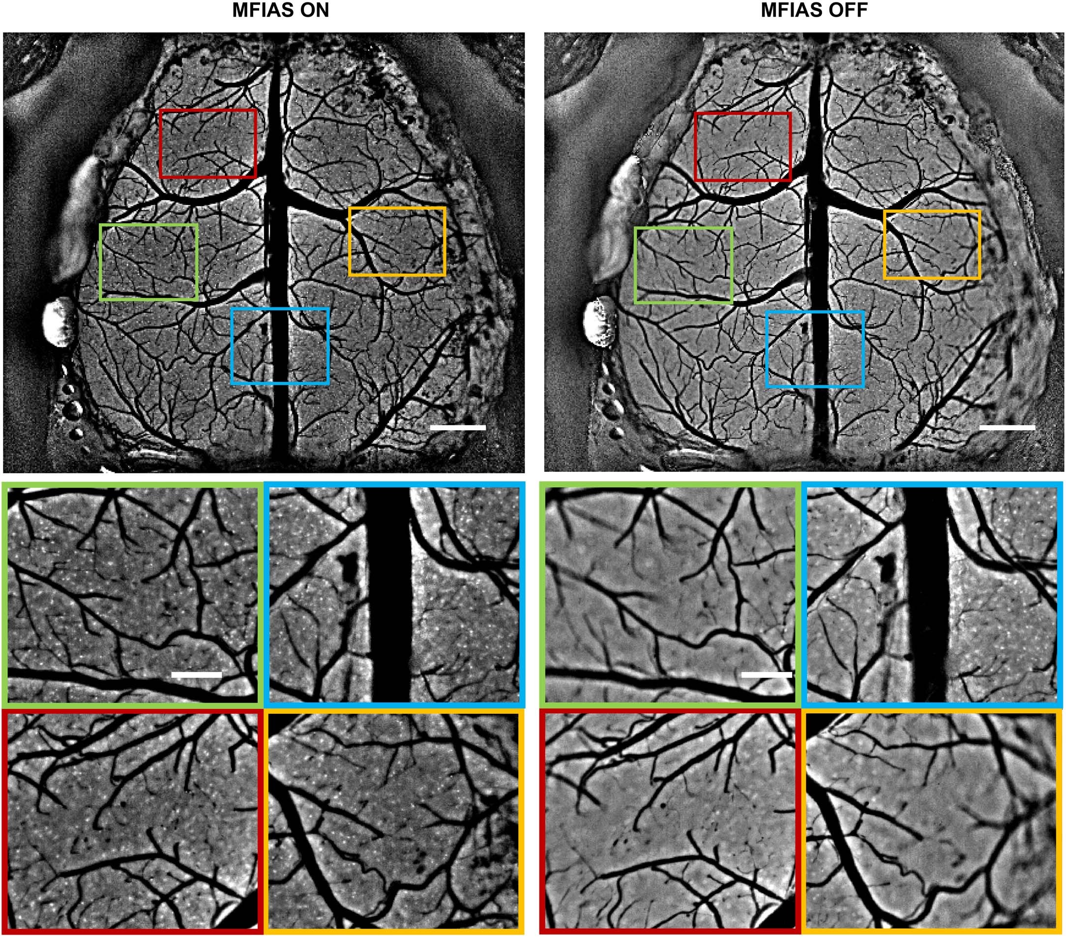 Extended Data Fig. 3