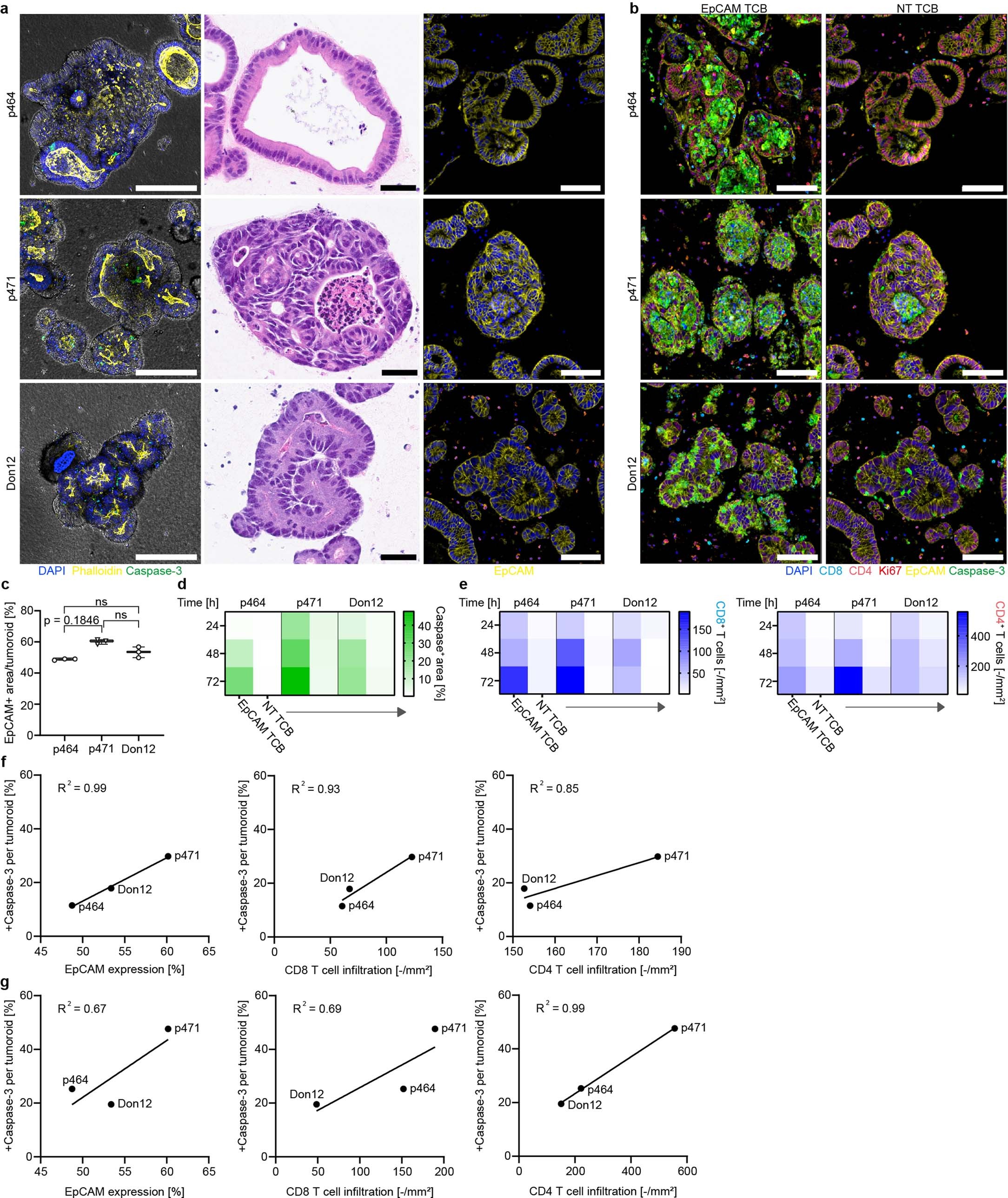 Extended Data Fig. 3