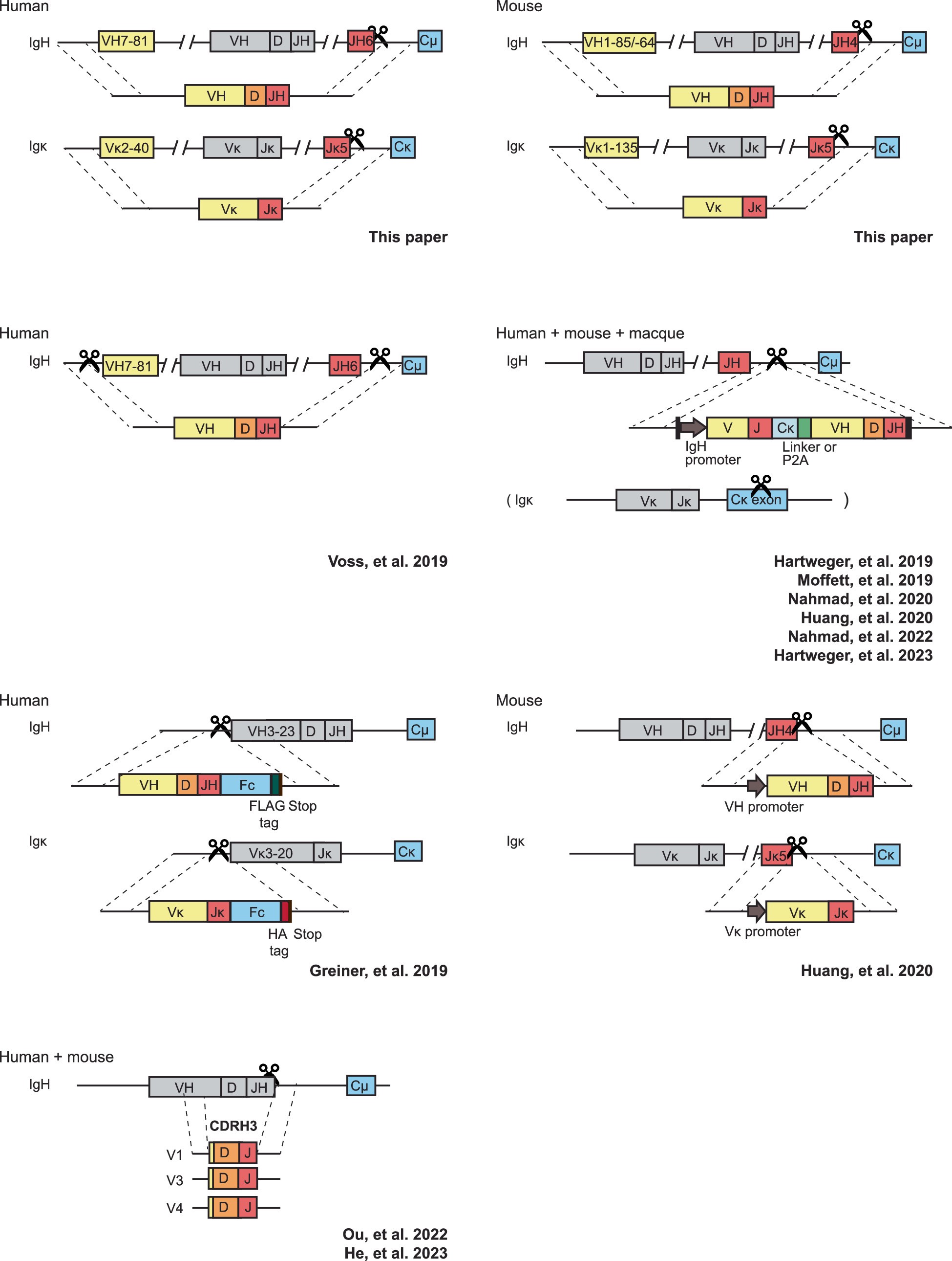 Extended Data Fig. 1