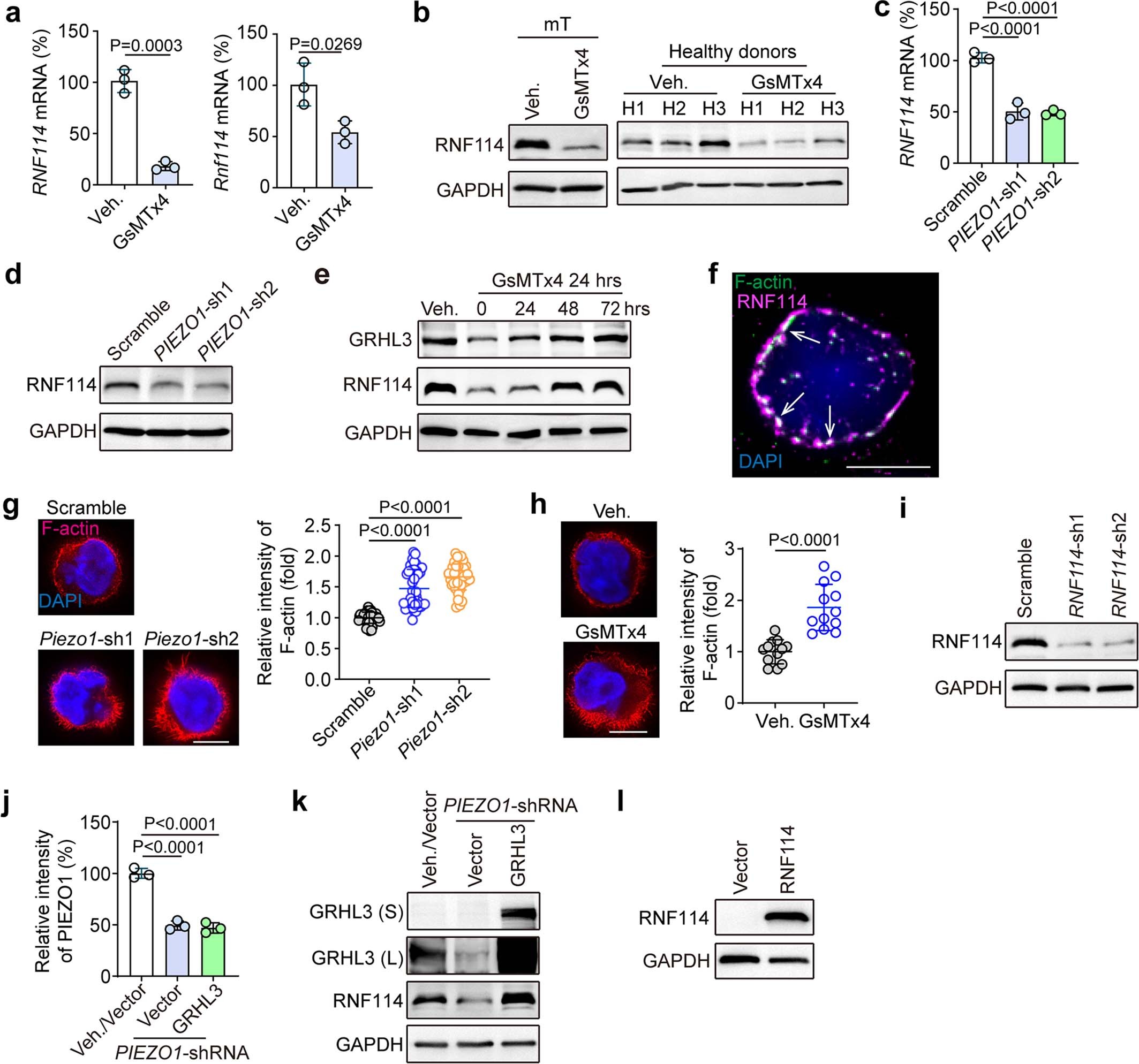 Extended Data Fig. 6