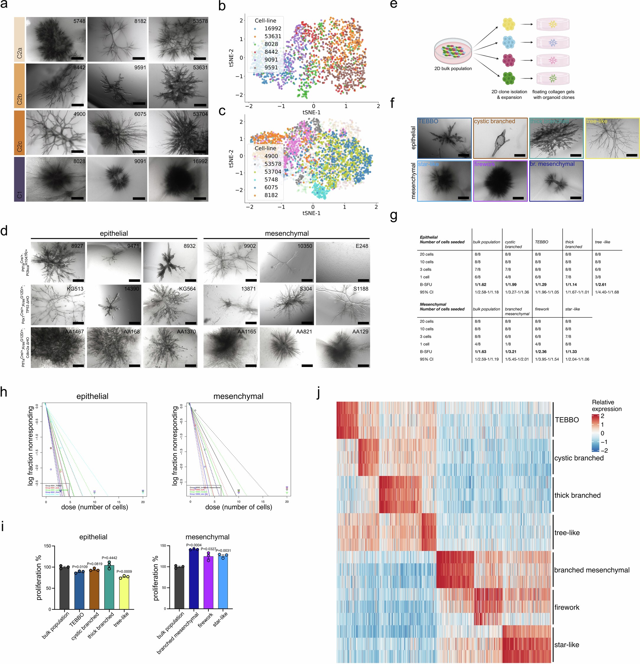 Extended Data Fig. 4