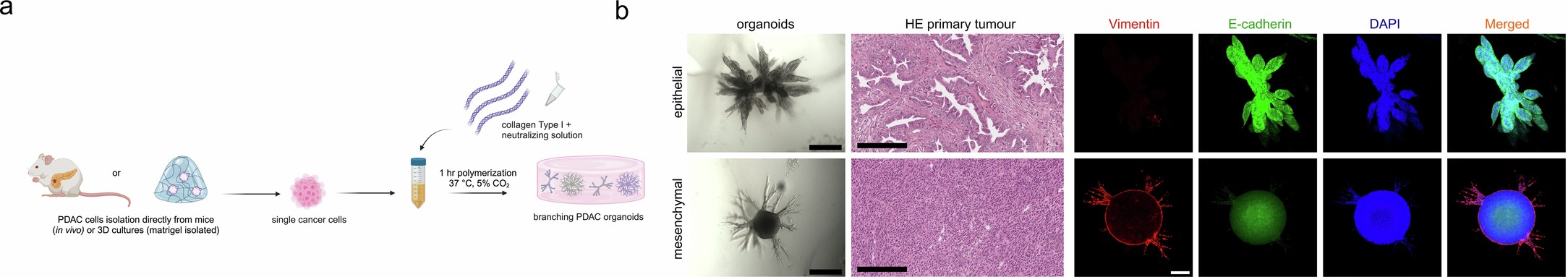 Extended Data Fig. 9