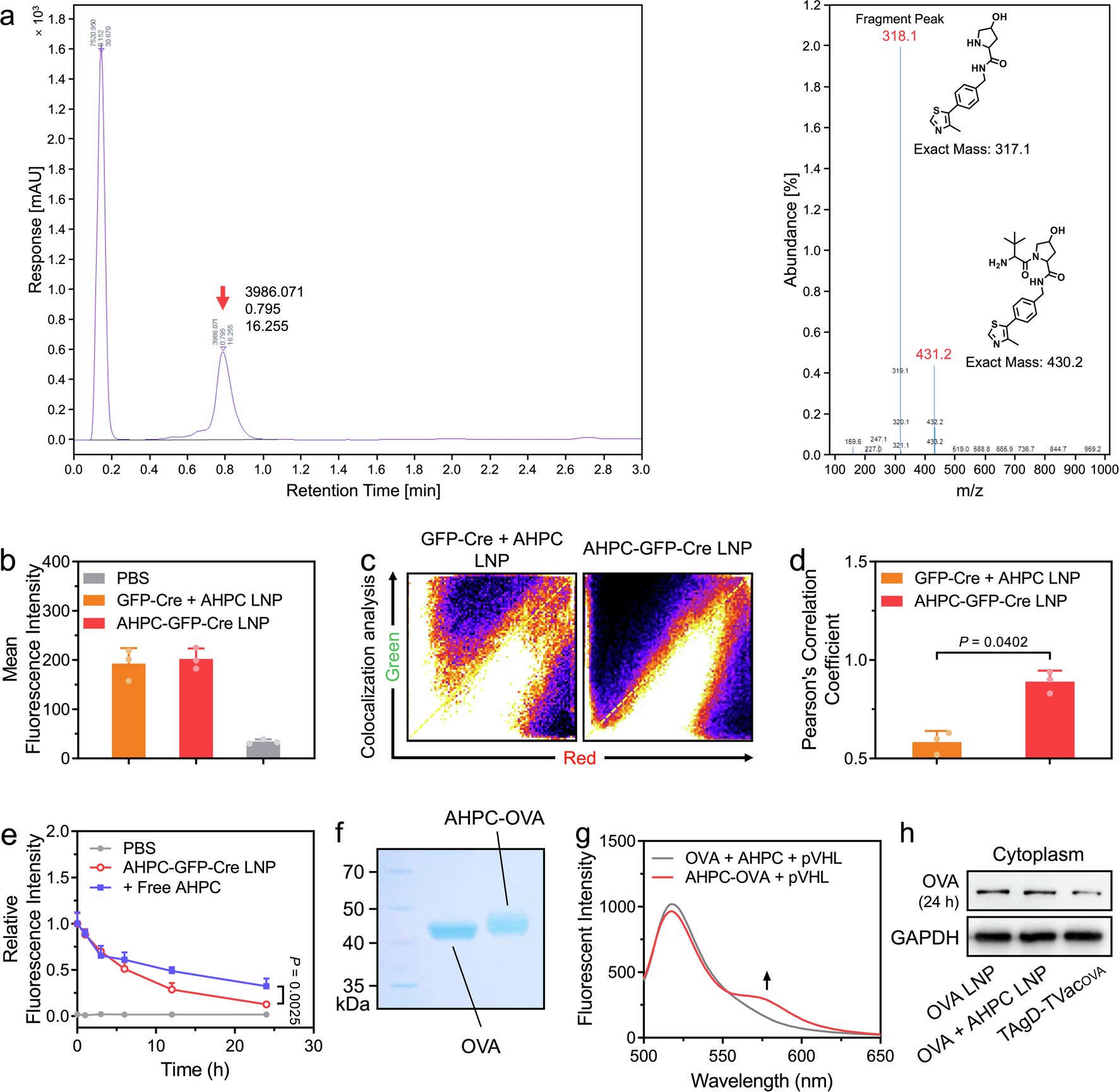 Extended Data Fig. 2: TAgD-TVacOVA-mediated proteasomal degradation of OVA in BMDCs.