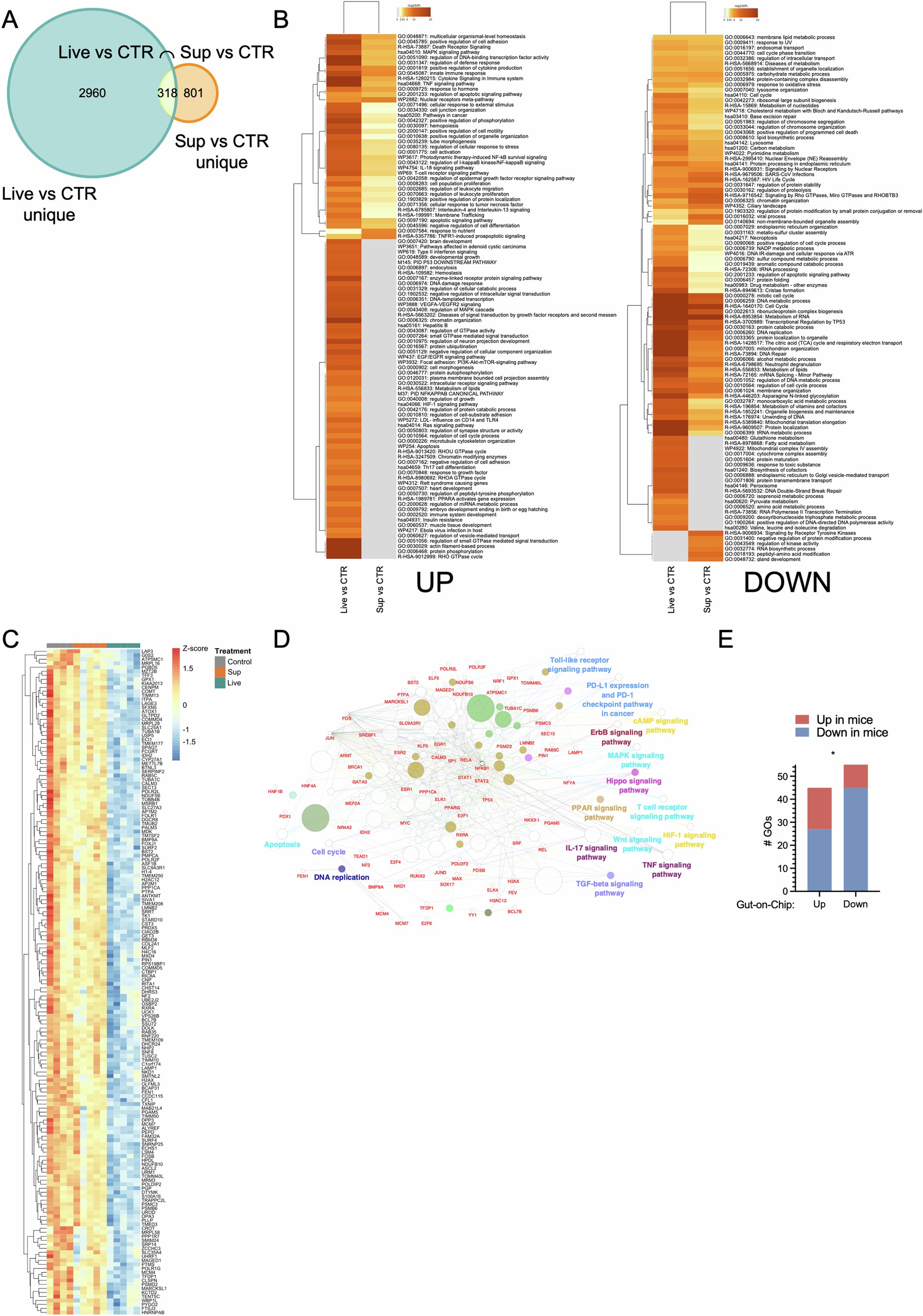 Extended Data Fig. 3: Response to live bacteria and bacterial supernatants.