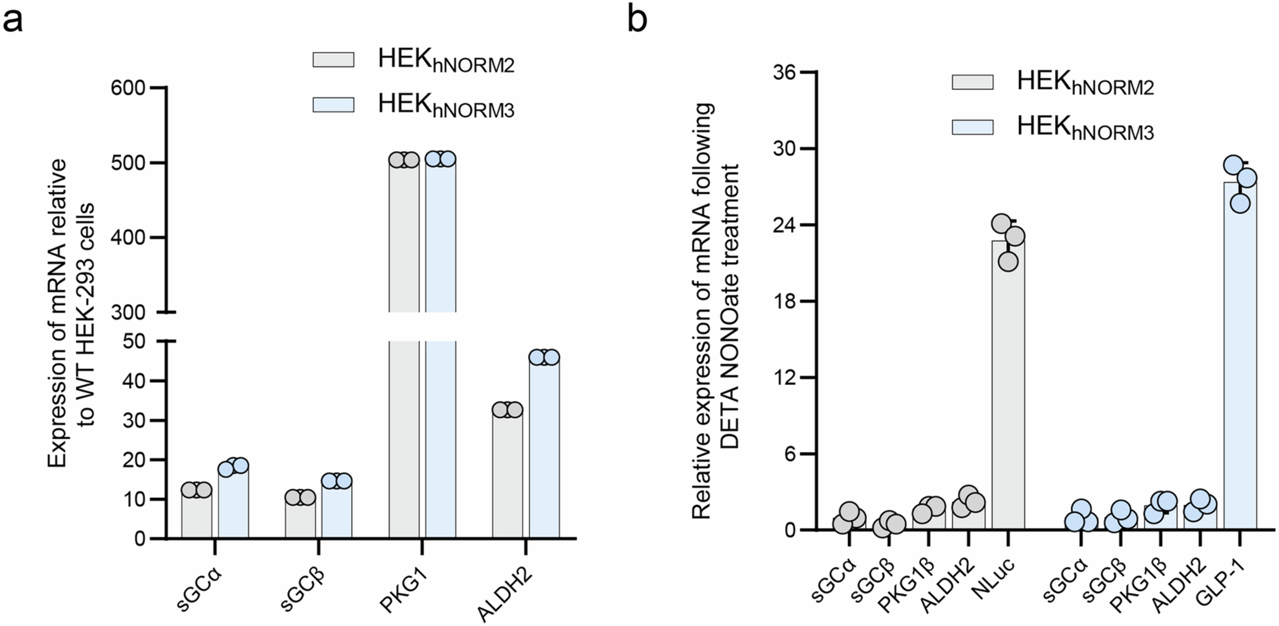 Extended Data Fig. 3: mRNA quantification of transgenes in HEKhNORM2 and HEKhNORM3 by qPCR.