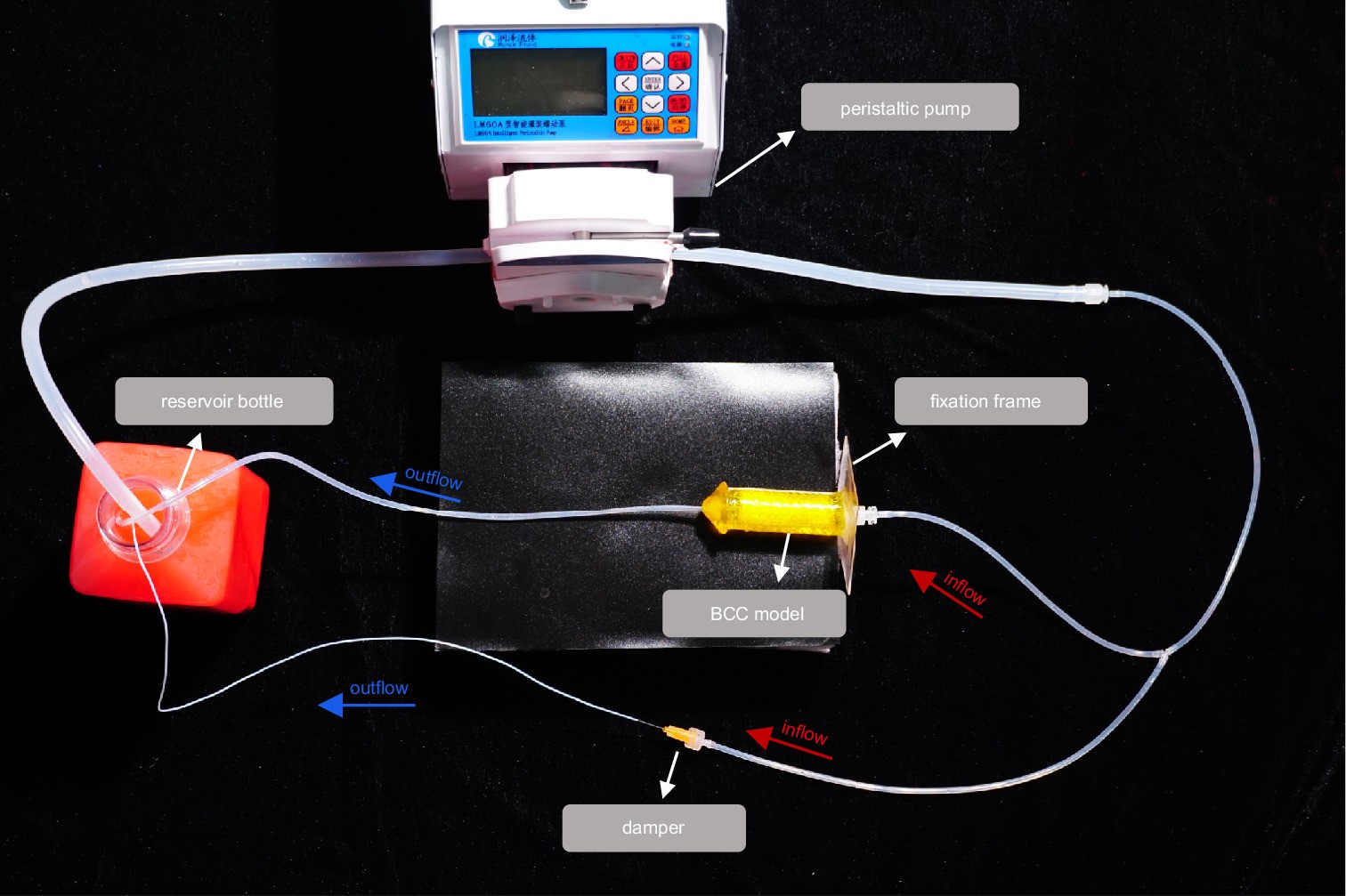 Extended Data Fig. 4: Perfusion device for all the models (including the BCC, BCC with the wrapped biomimetic tunica albuginea, ED, and PD models).
