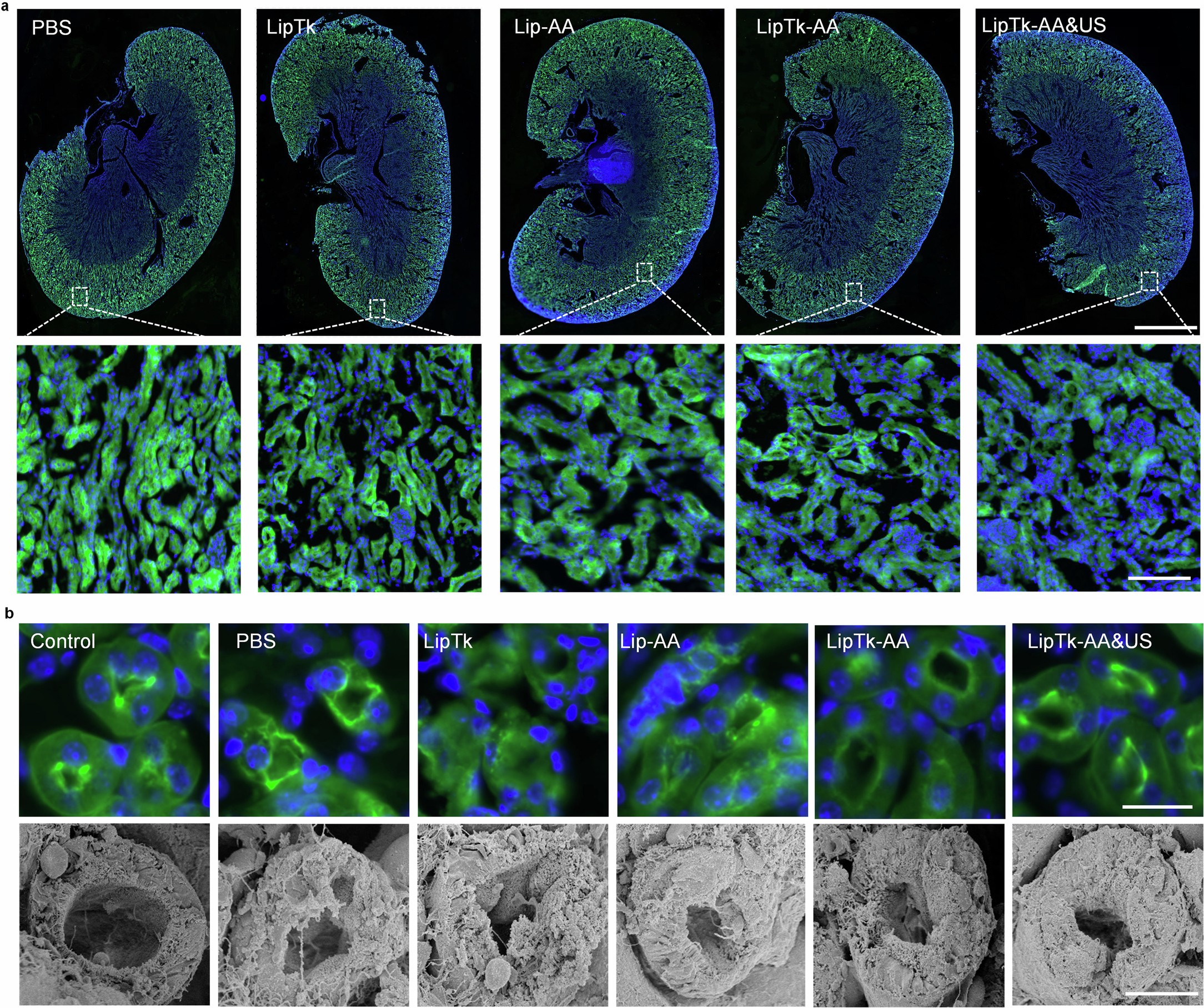 Extended Data Fig. 2