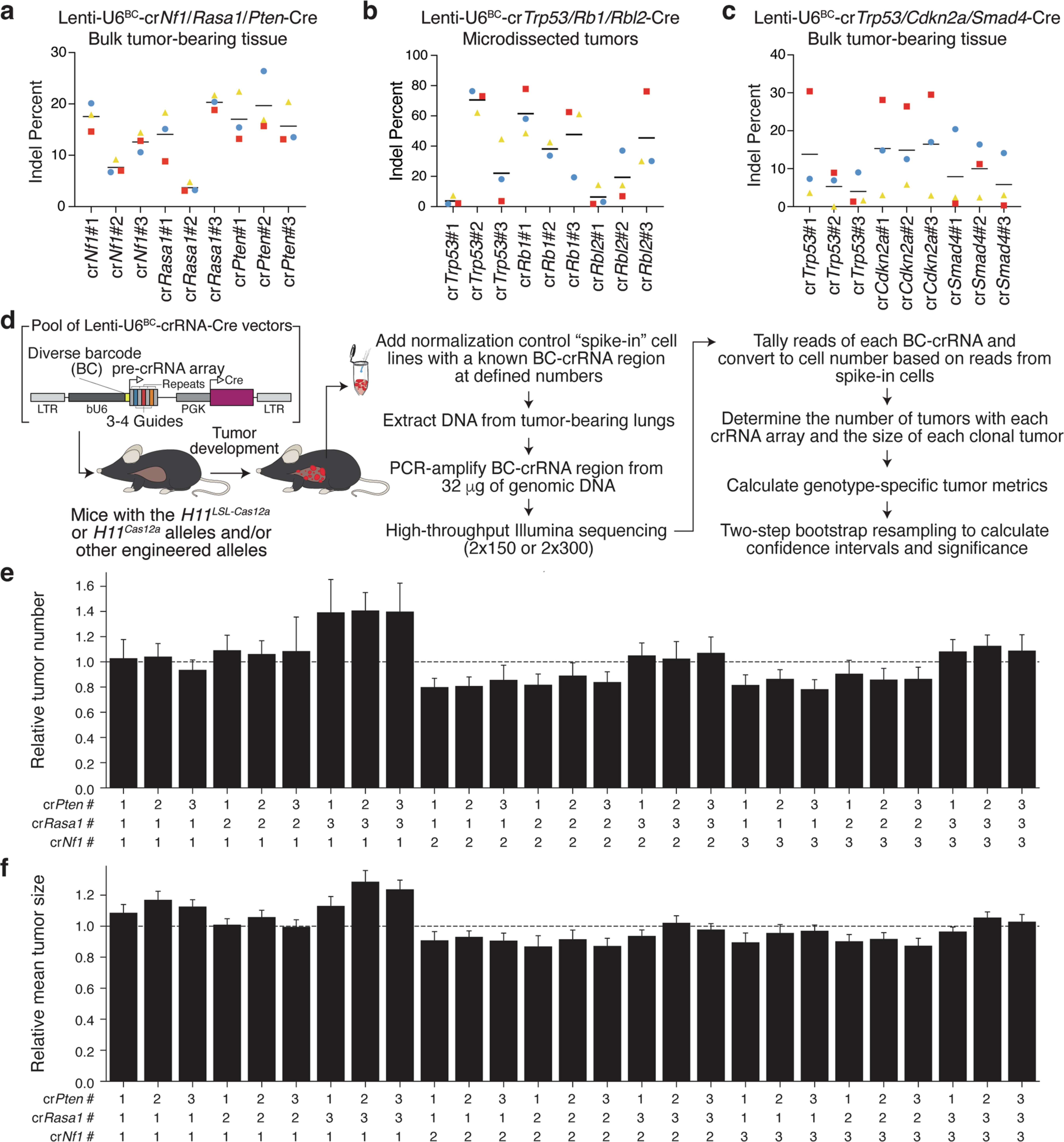 Extended Data Fig. 2: Cas12a-mediated somatic genome editing induces indels at target genetic loci, while incorporation of Cas12a-mediated genome editing with Tuba-seqUltra enables quantification of the effects of each crRNA array.