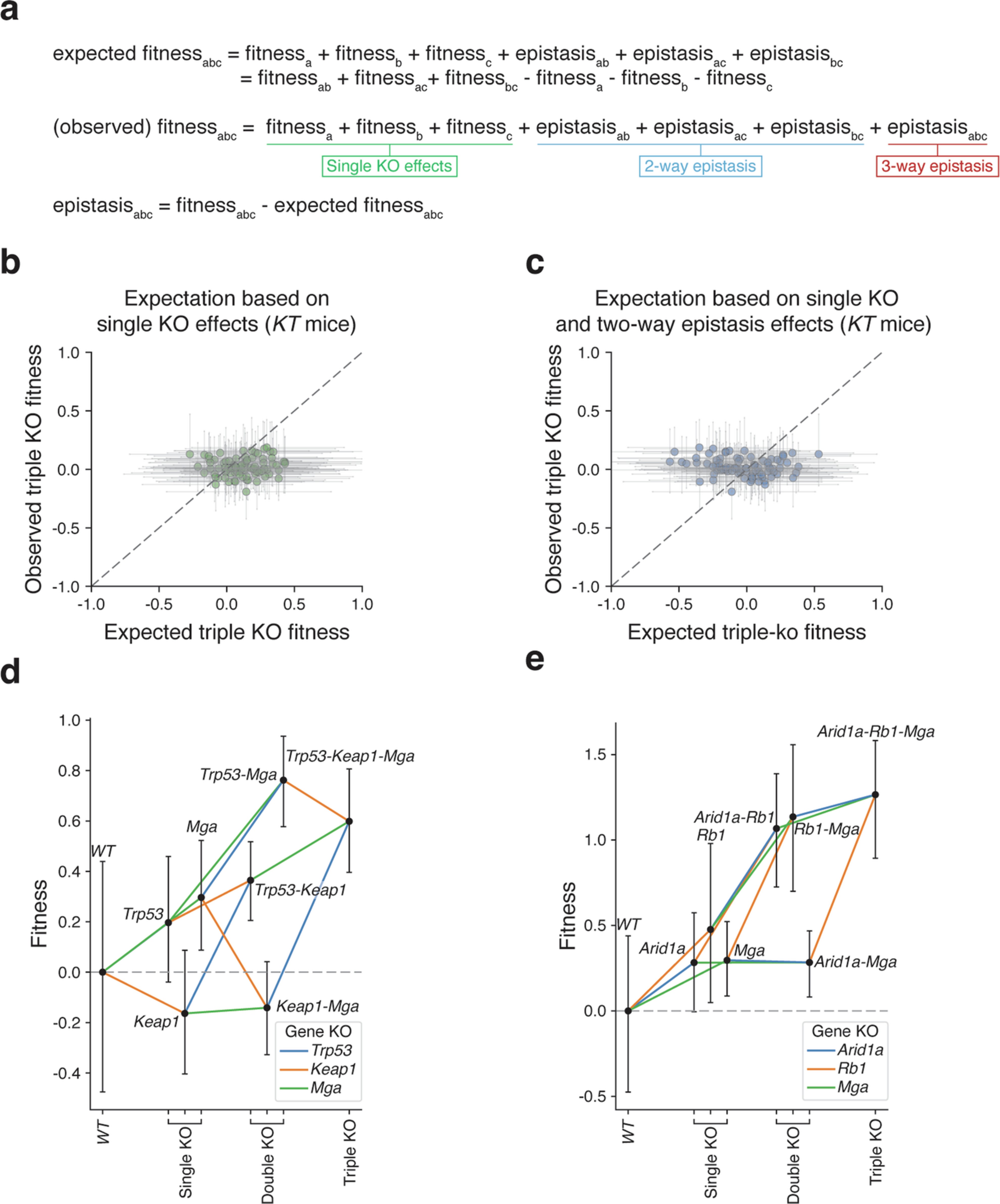 Extended Data Fig. 10: Certain advantageous multi-KO tumour genotypes have limited accessibility of fitness trajectories.