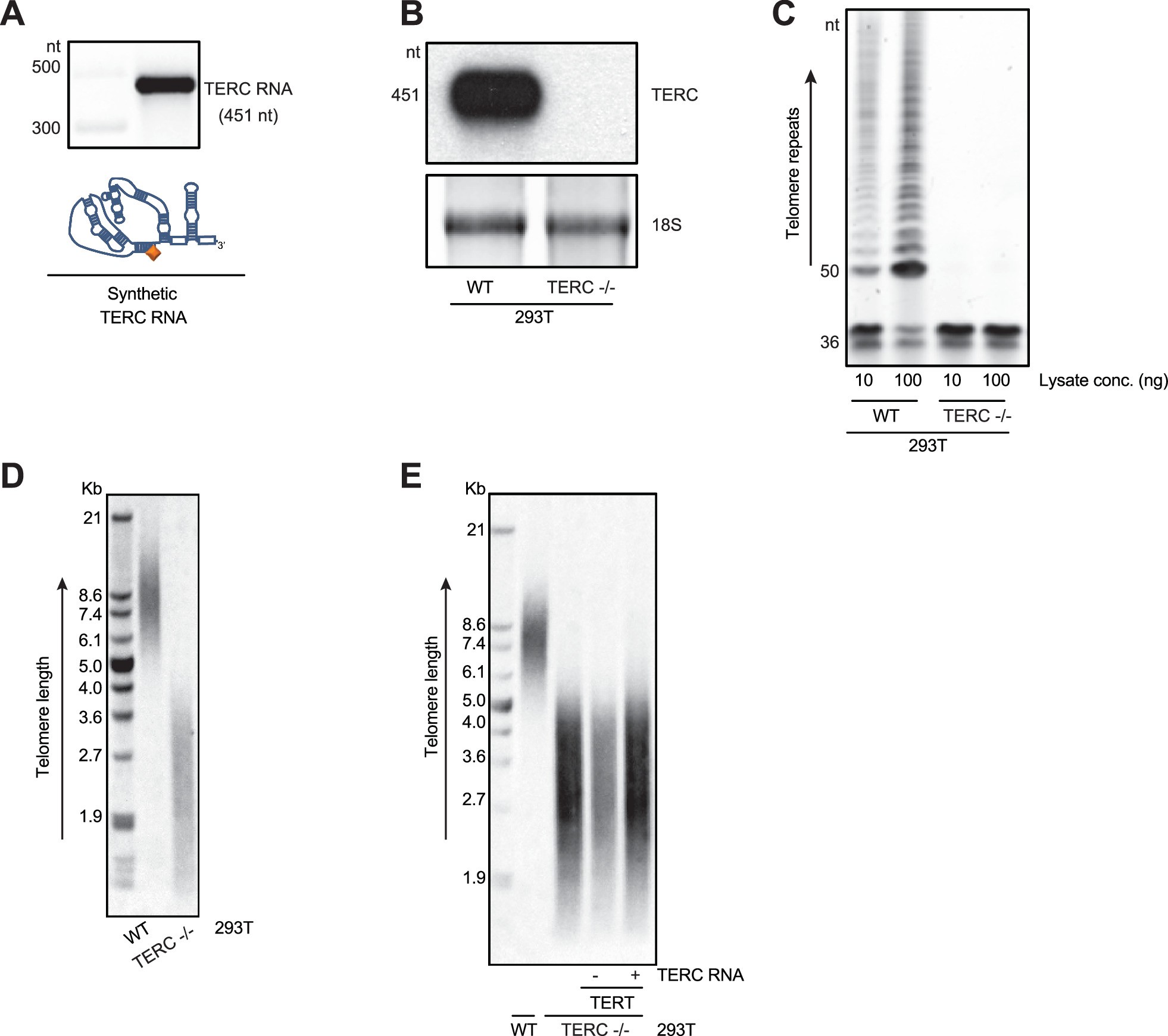 Extended Data Fig. 1