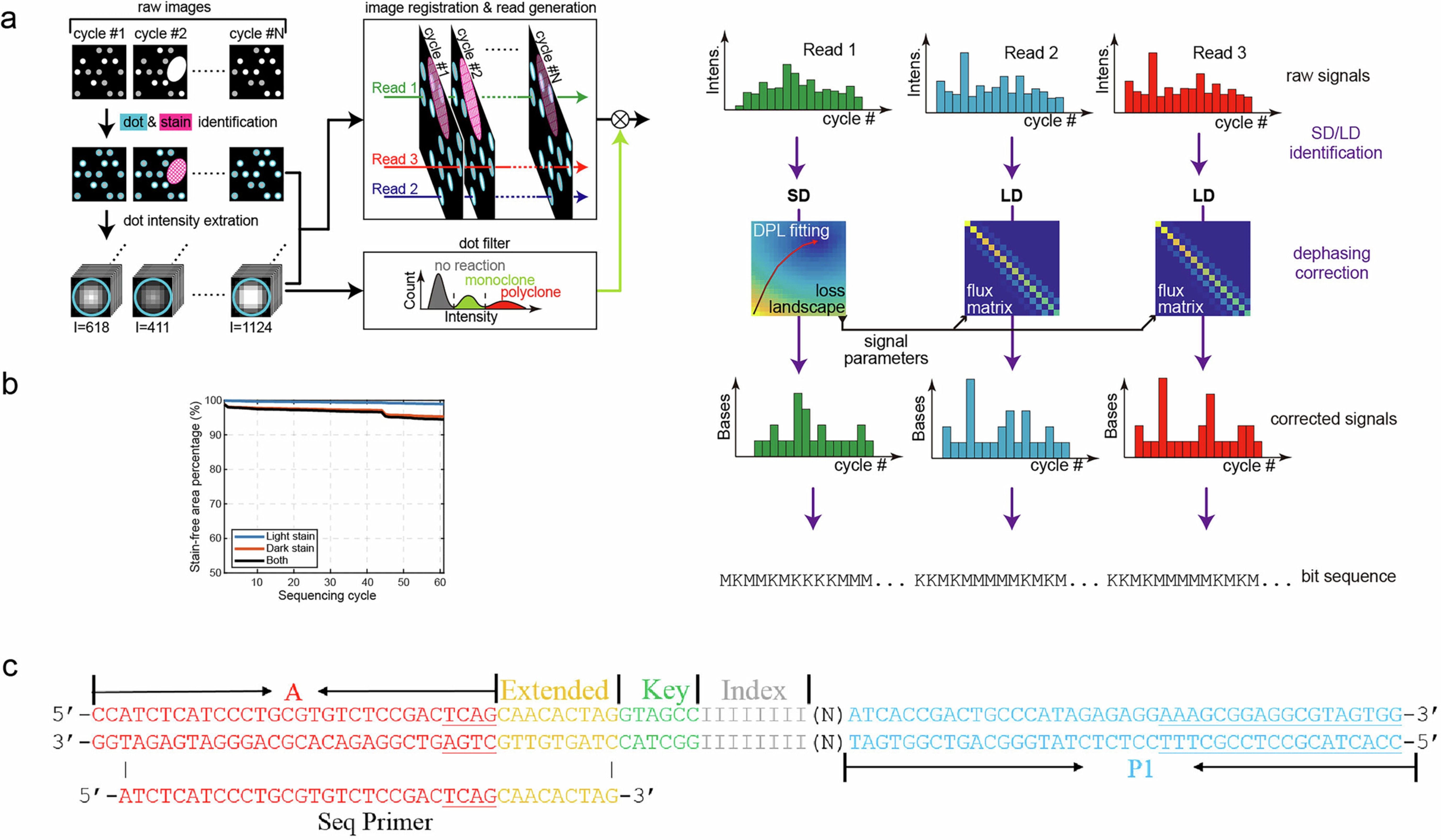 Extended Data Fig. 3: The data processing pipeline and library structure.