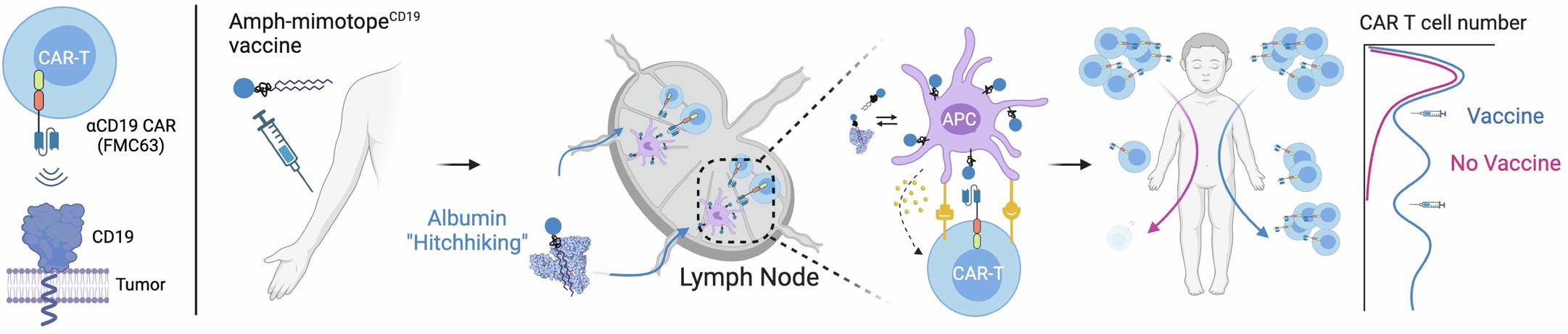 Extended Data Fig. 1