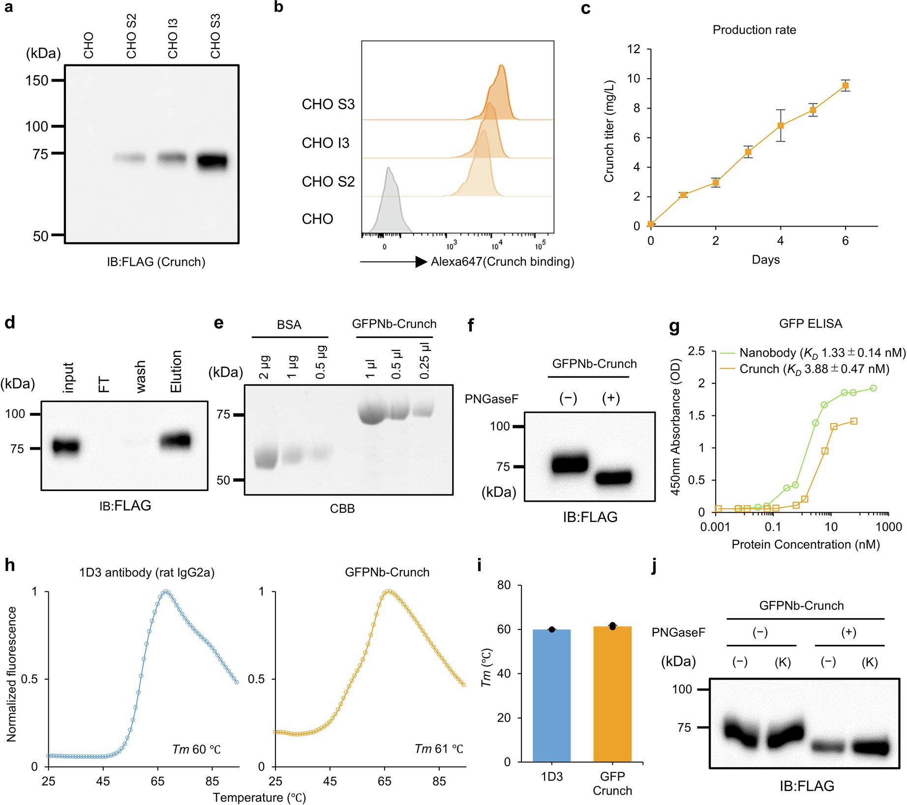 Extended Data Fig. 1: Production and characterization of Crunch.