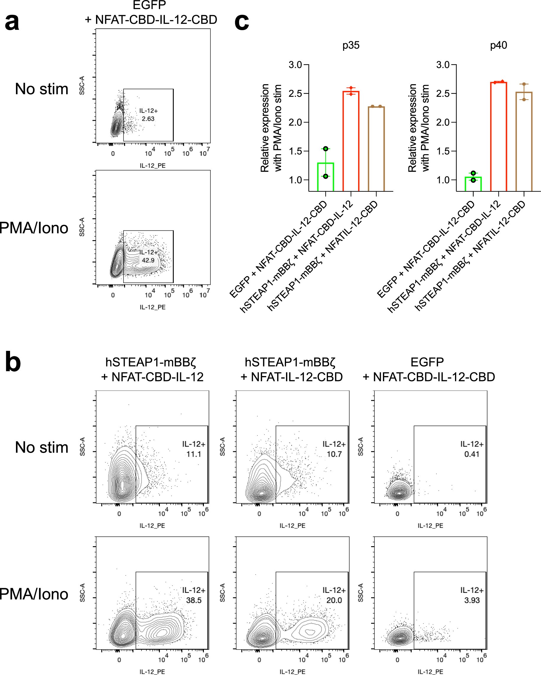 Extended Data Fig. 2: Translation and transcription of IL-12 variants in Jurkat and primary mouse T cells.