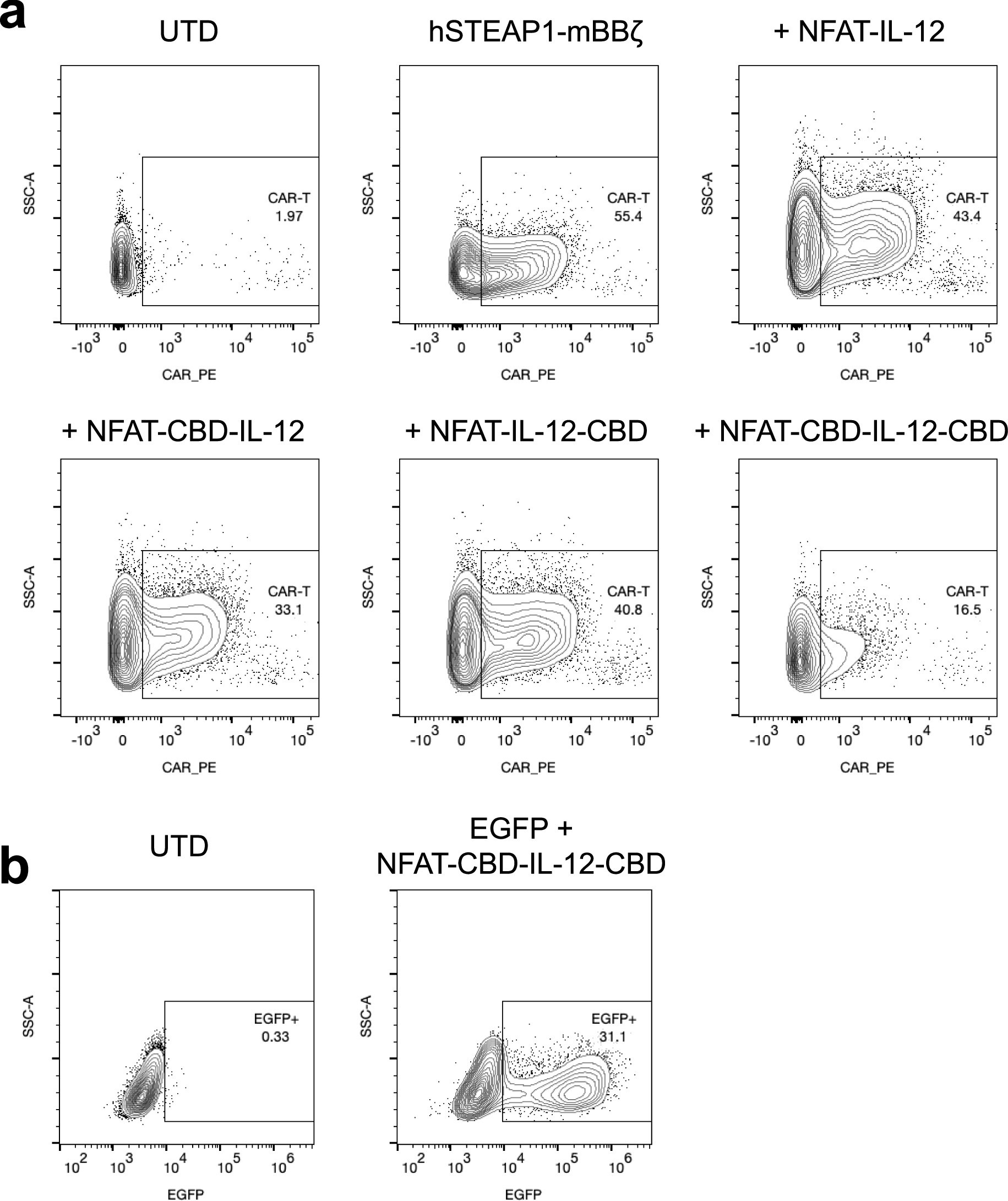 Extended Data Fig. 1: Transduction efficiency of the gamma-retroviral vectors for mouse T cells.