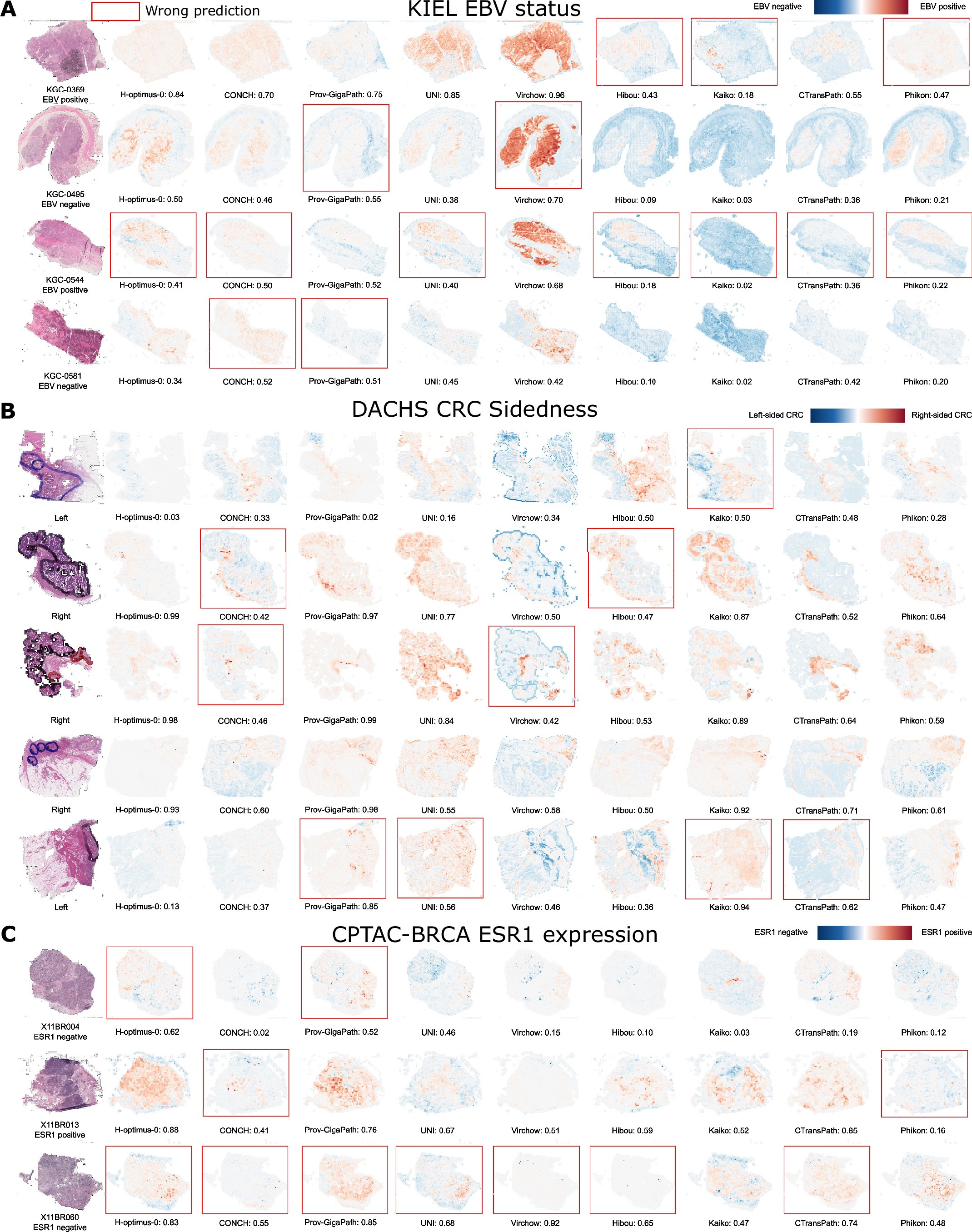 Extended Data Fig. 7