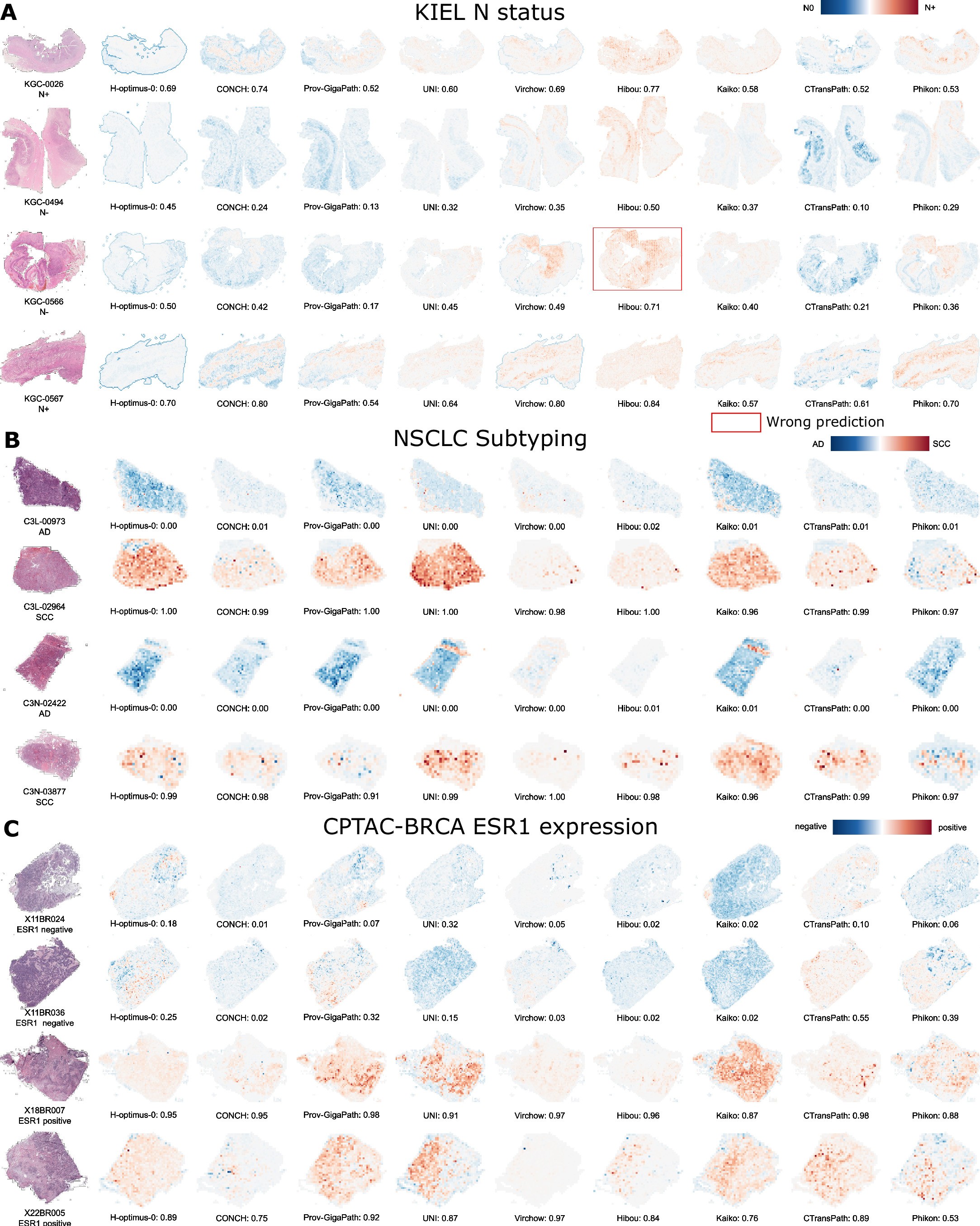 Extended Data Fig. 8