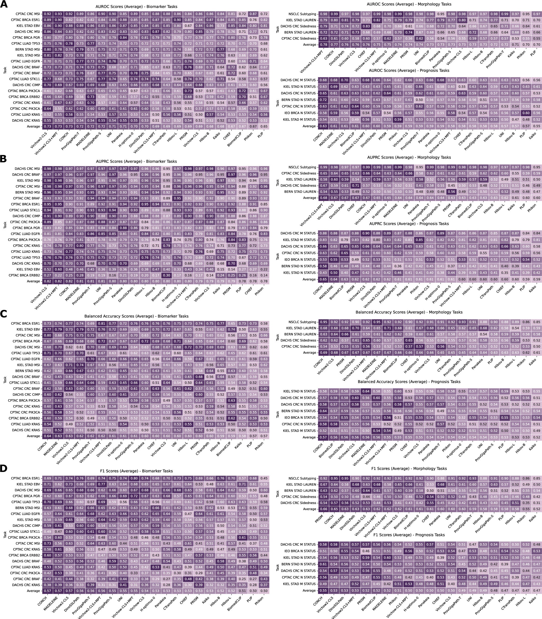 Extended Data Fig. 1