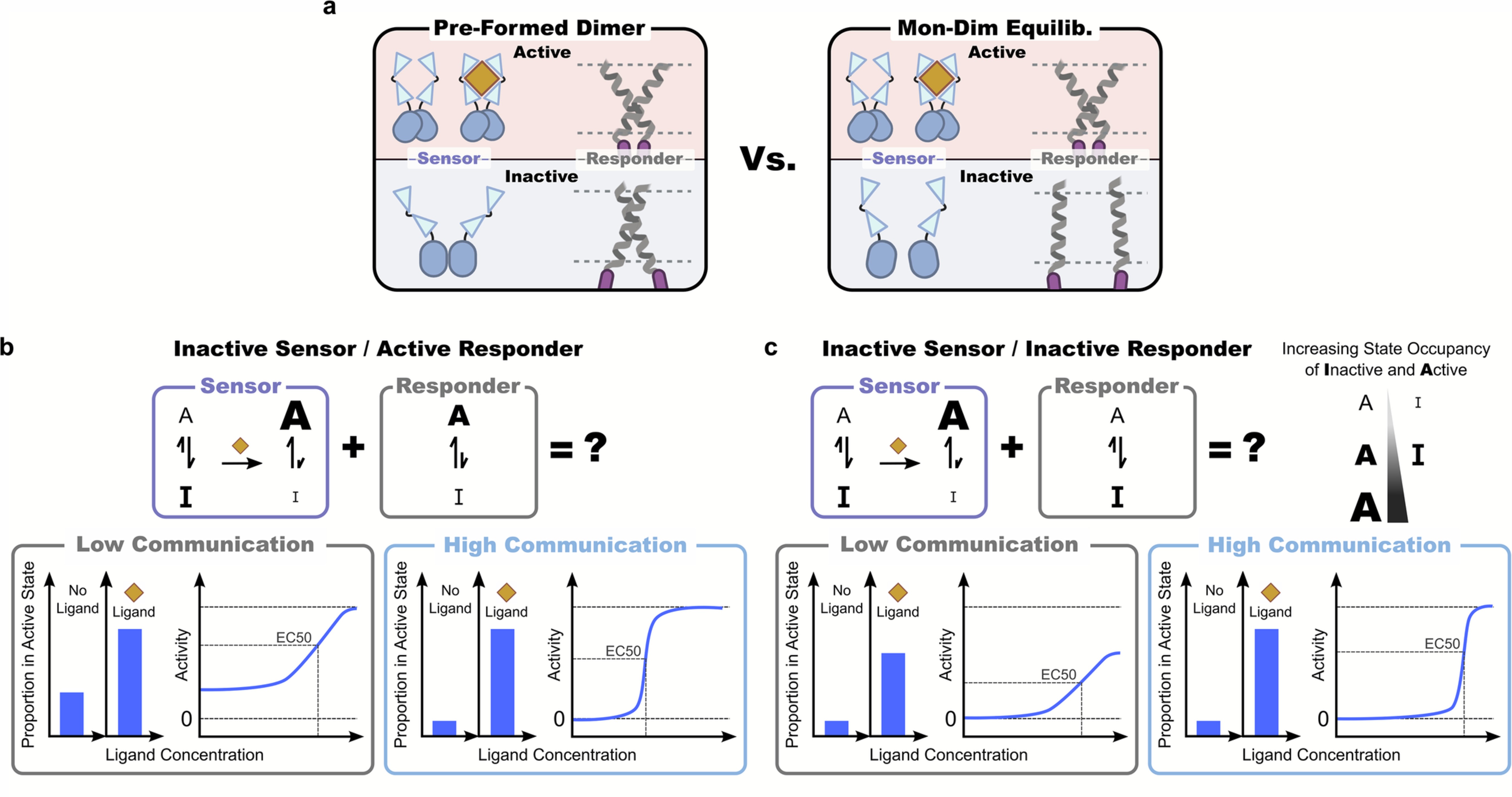 Extended Data Fig. 1: Impact of extracellular-intracellular (EC-IC) communication and dimerization on designed receptor signaling with inactive biased sensor.
