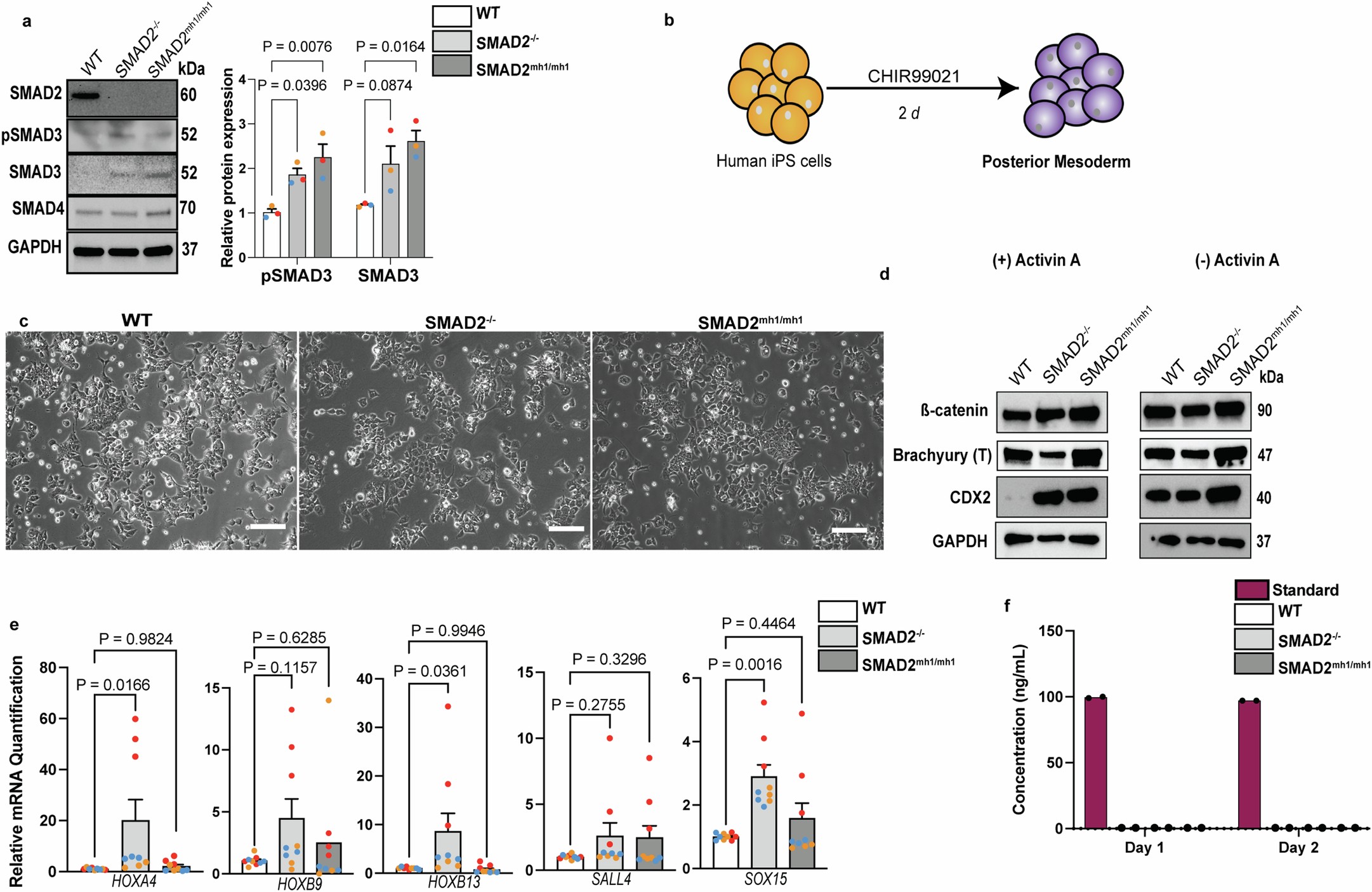 Extended Data Fig. 2: Mesoderm derivation.