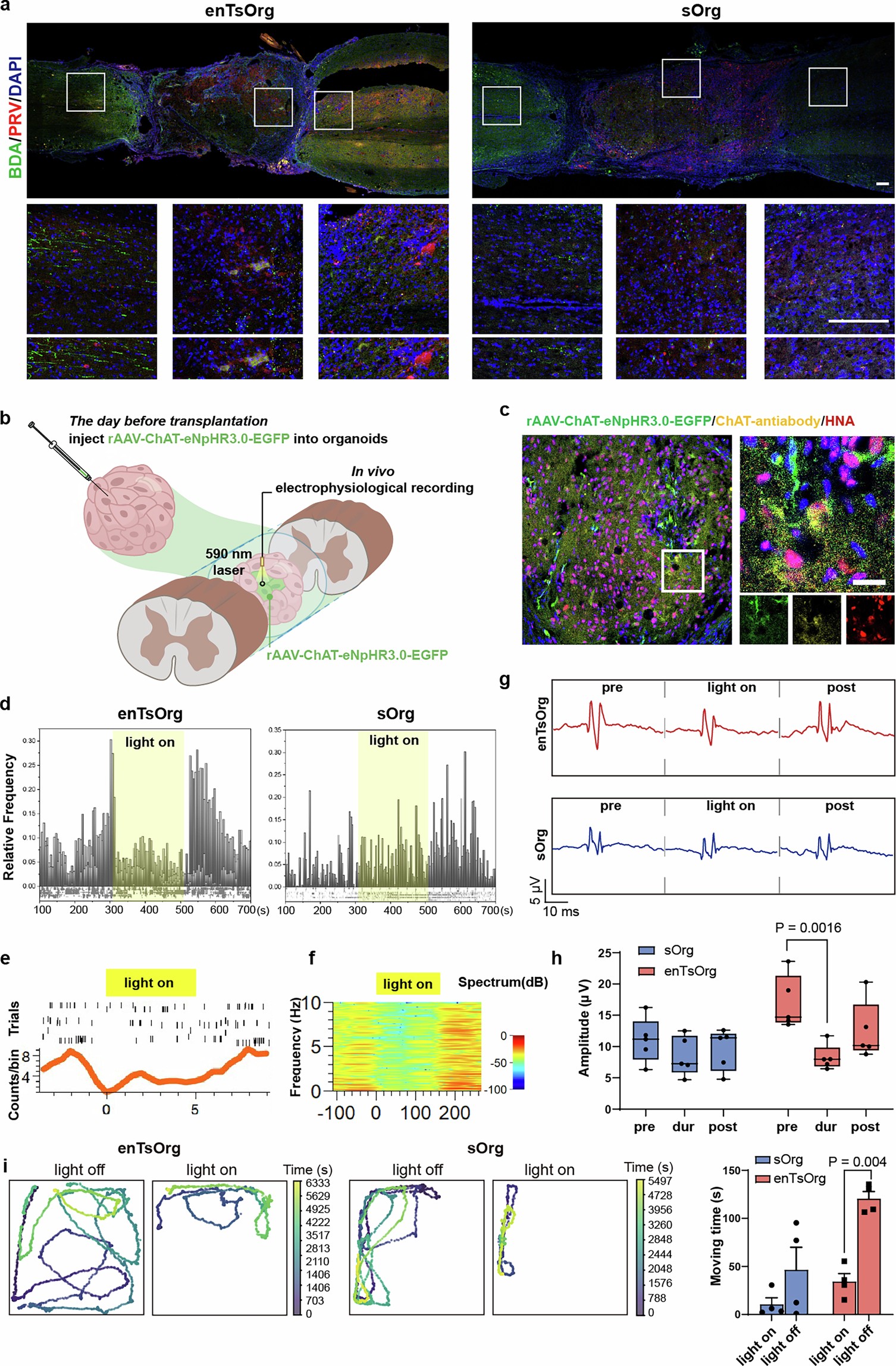 Extended Data Fig. 4