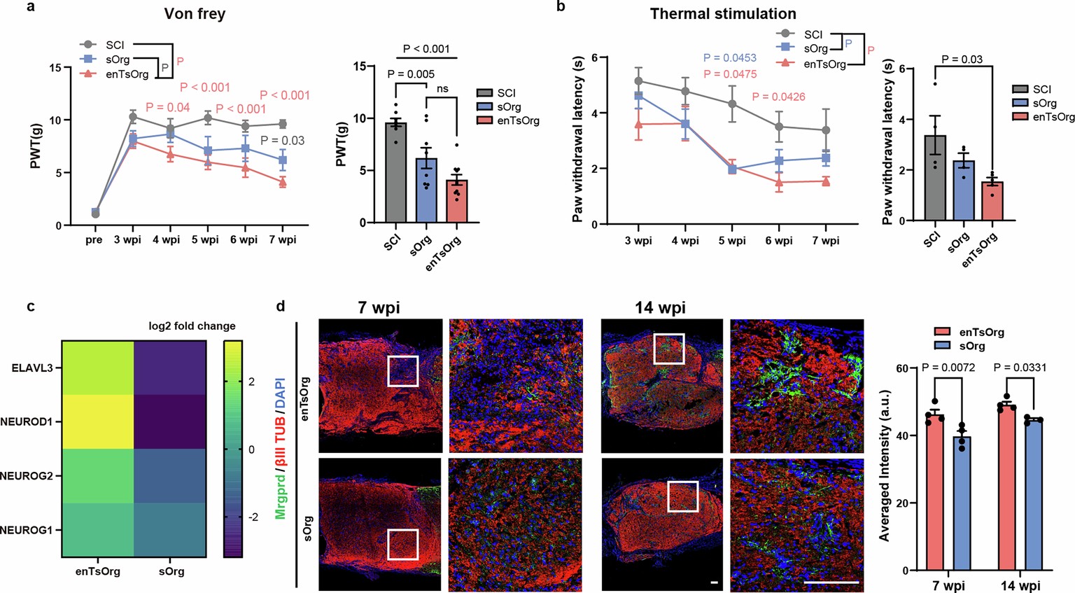 Extended Data Fig. 5: enTsOrg can participate in the host’s sensory signal transmission.