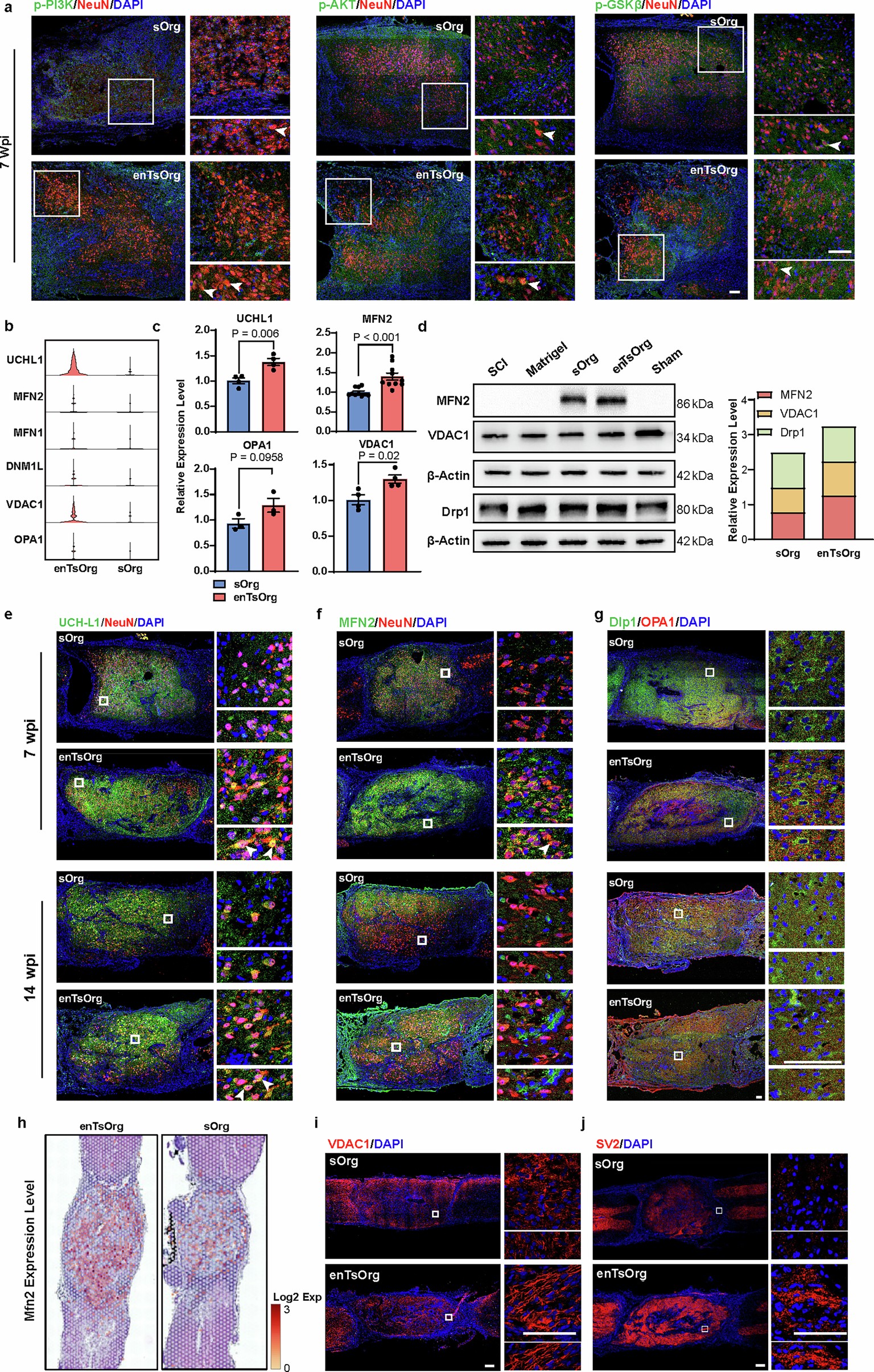 Extended Data Fig. 7