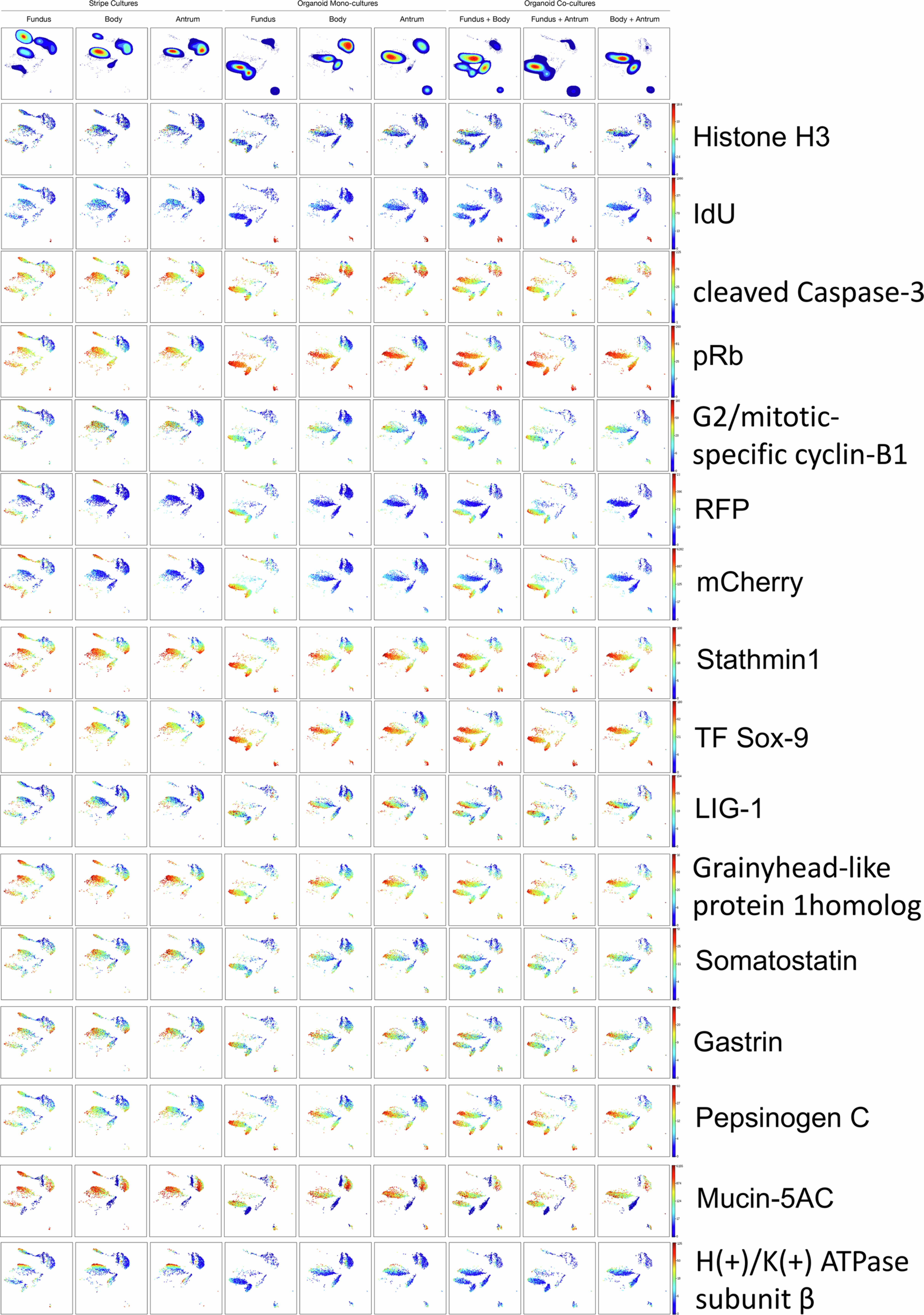 Extended Data Fig. 5