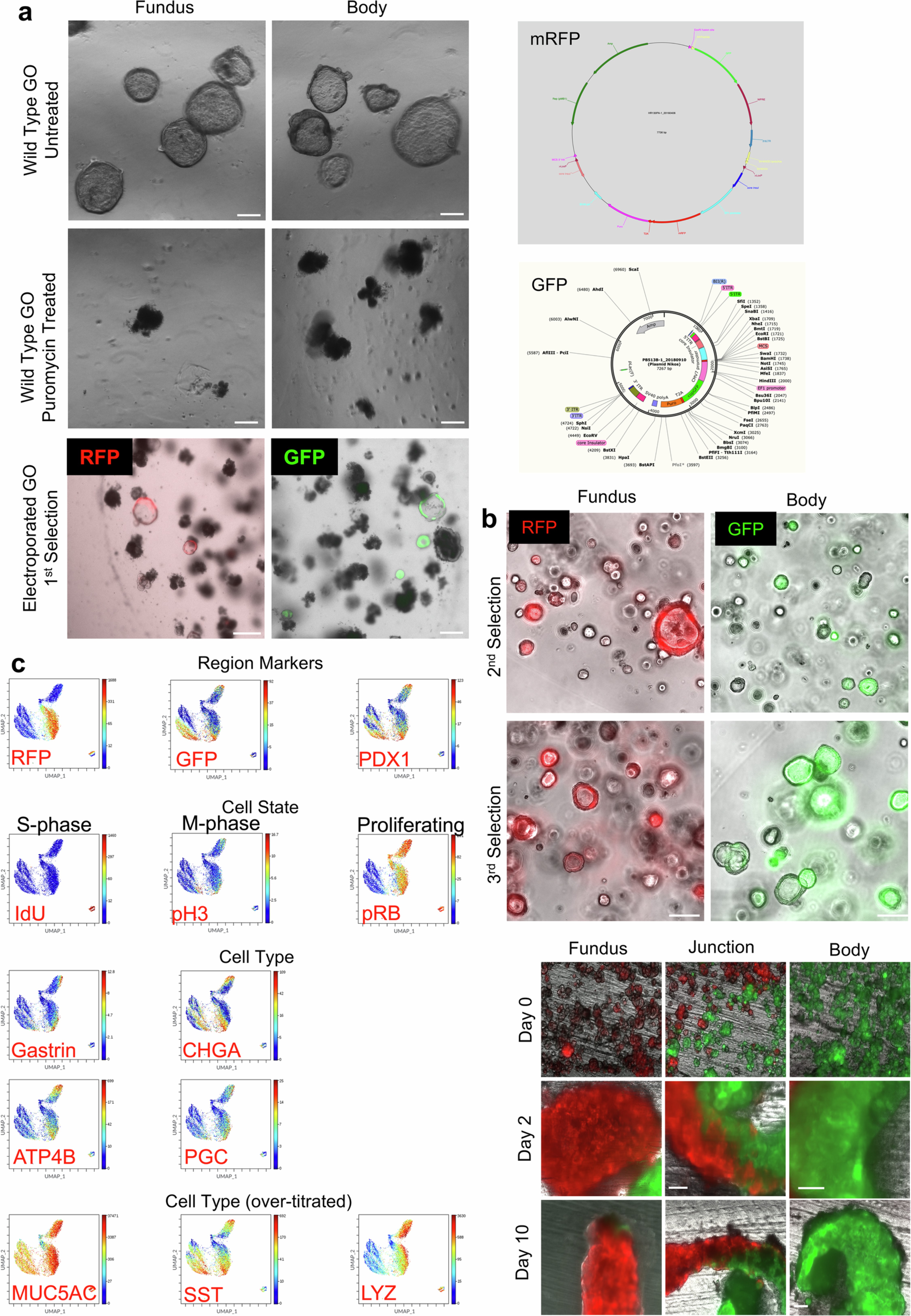 Extended Data Fig. 6