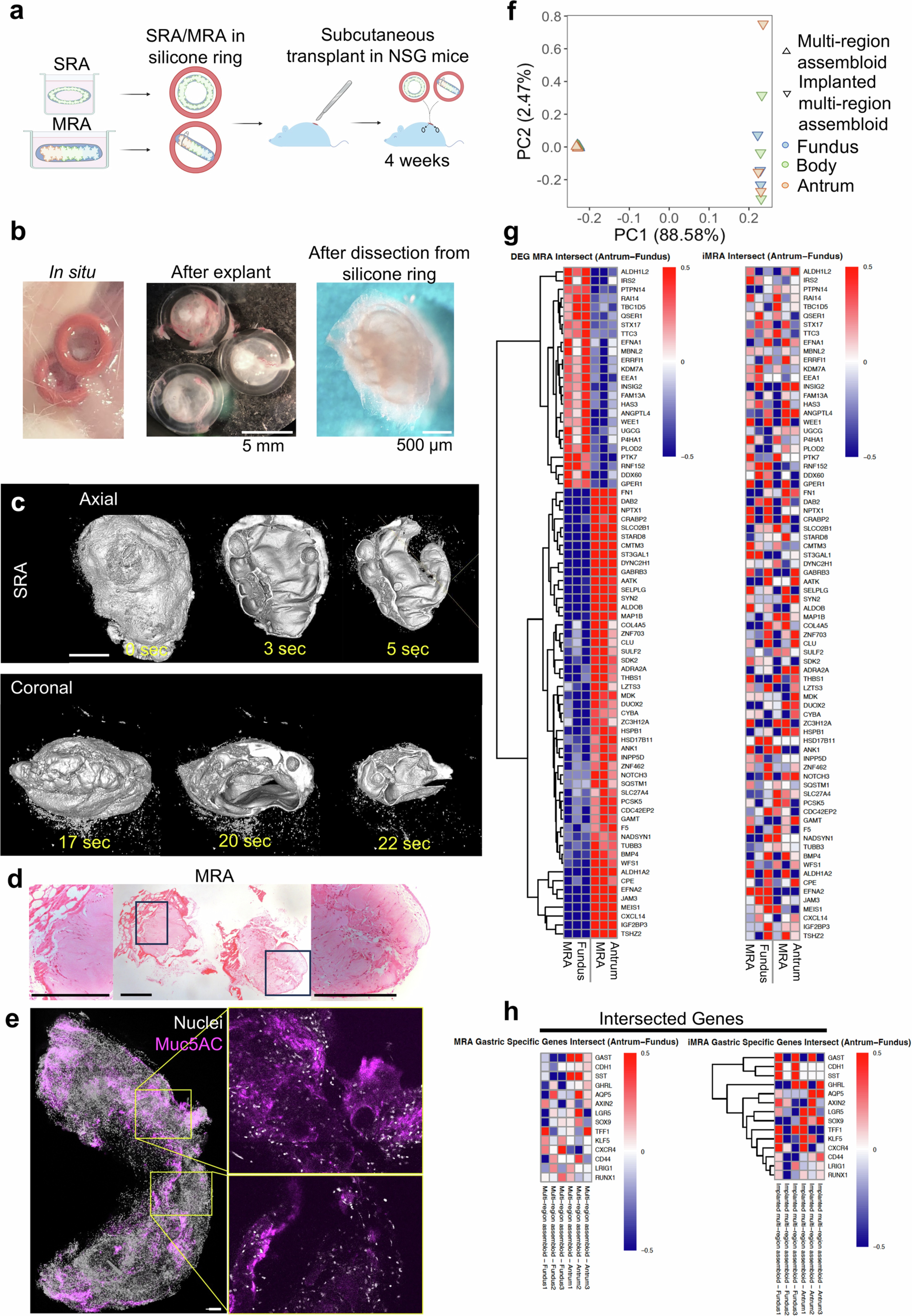 Extended Data Fig. 9