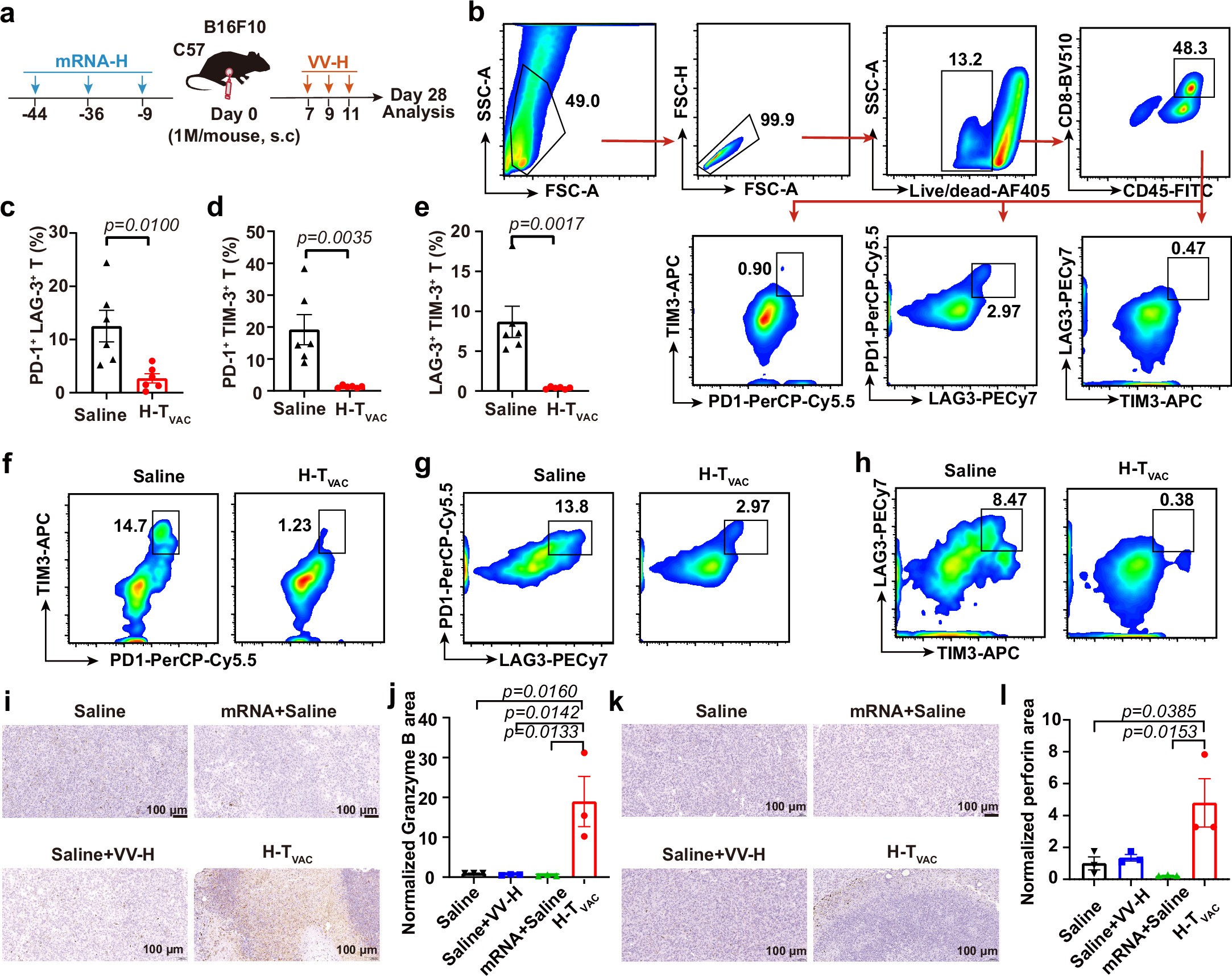 Extended Data Fig. 7: Characterization of all intra-tumoural T cells at the therapeutic endpoint.