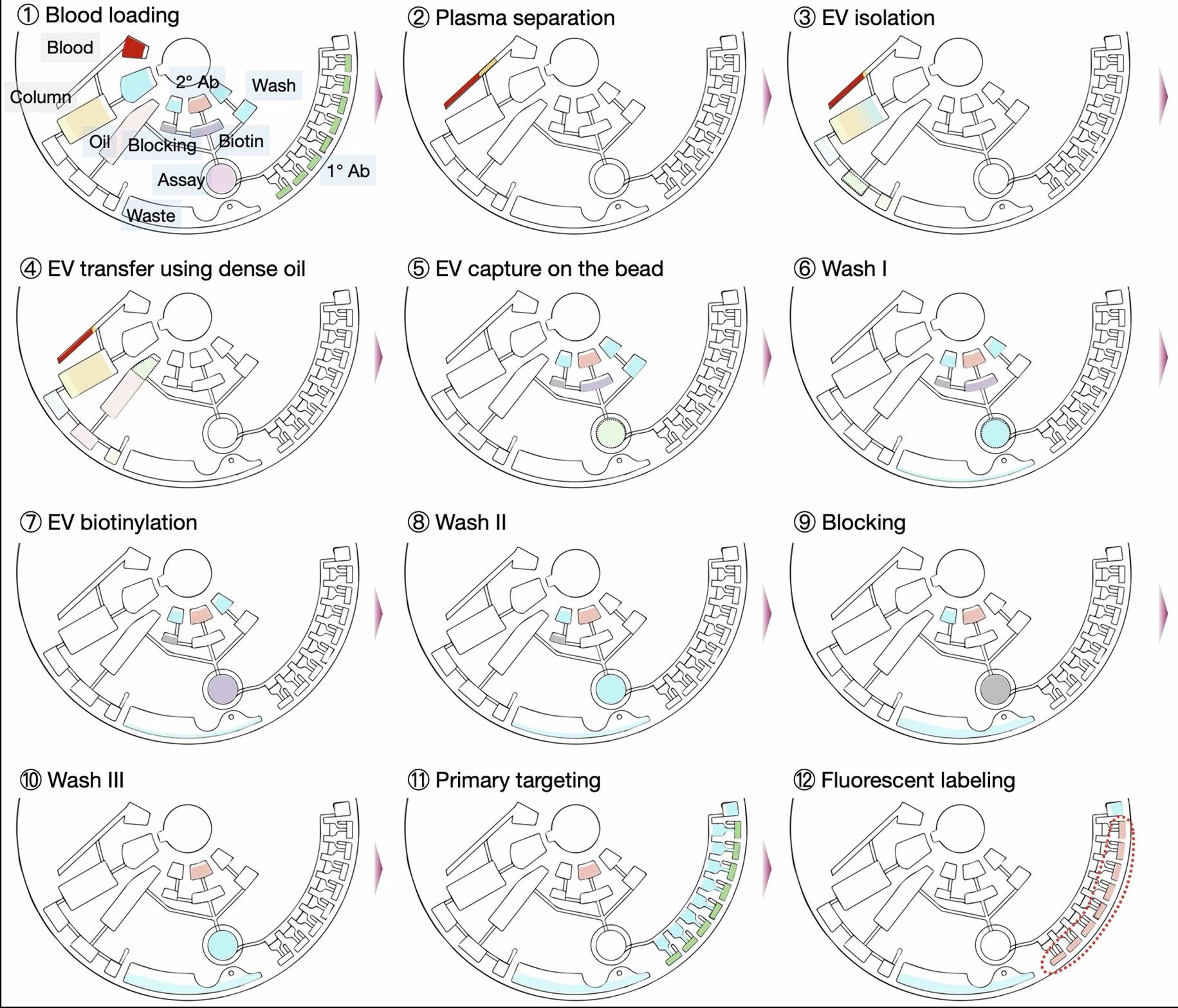 Extended Data Fig. 1: SpinEx operation steps.