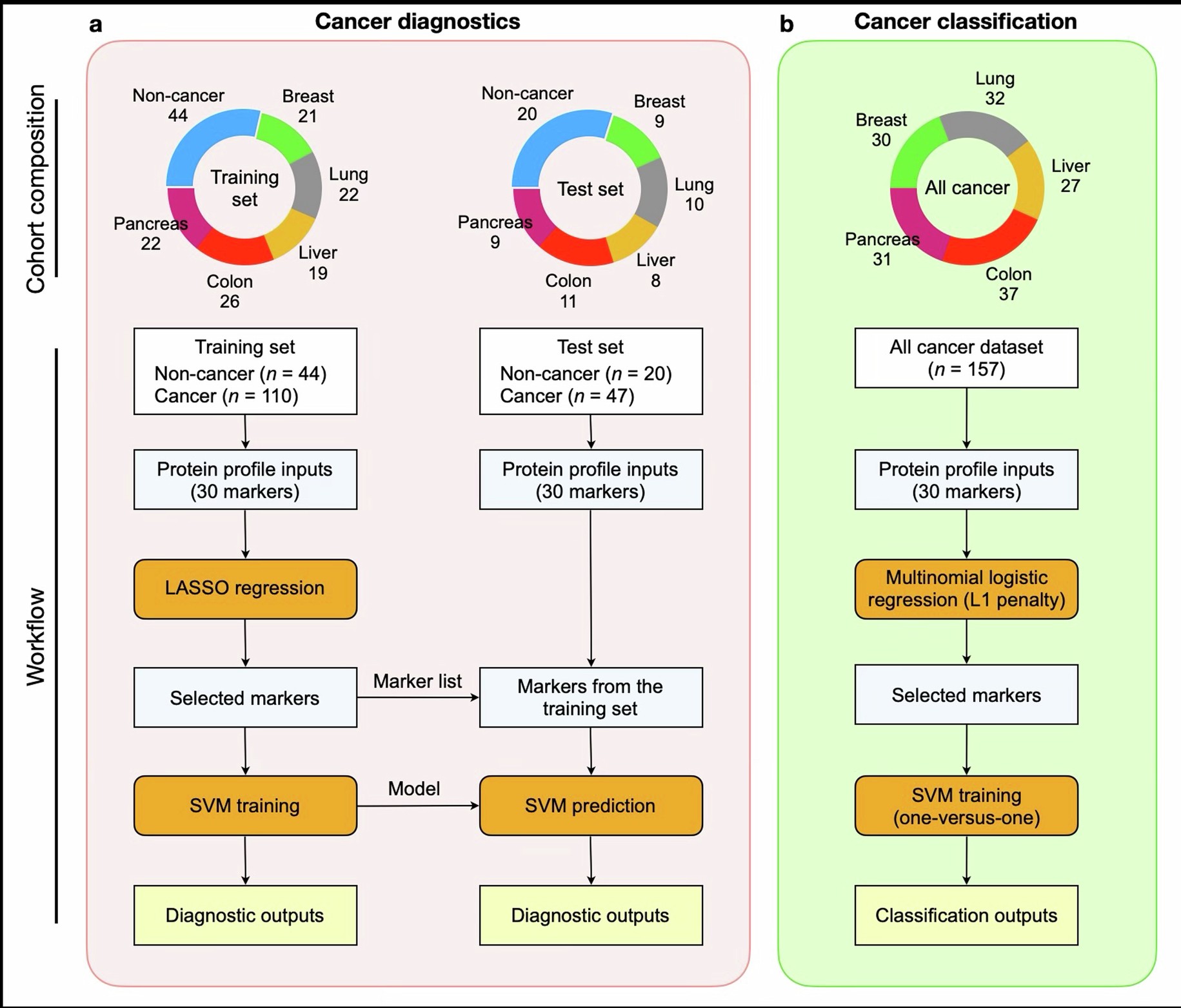 Extended Data Fig. 2: Workflow for machine learning analyses.