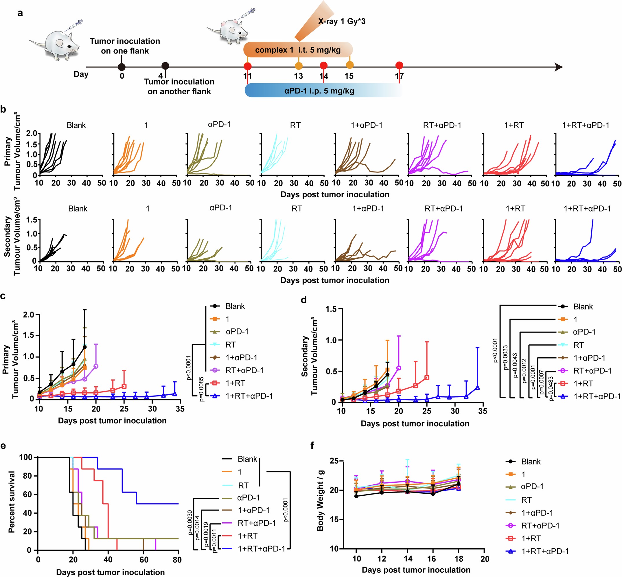Extended Data Fig. 4: Complex 1 sensitized RT enhances abscopal effect on syngeneic CT26 tumour model.