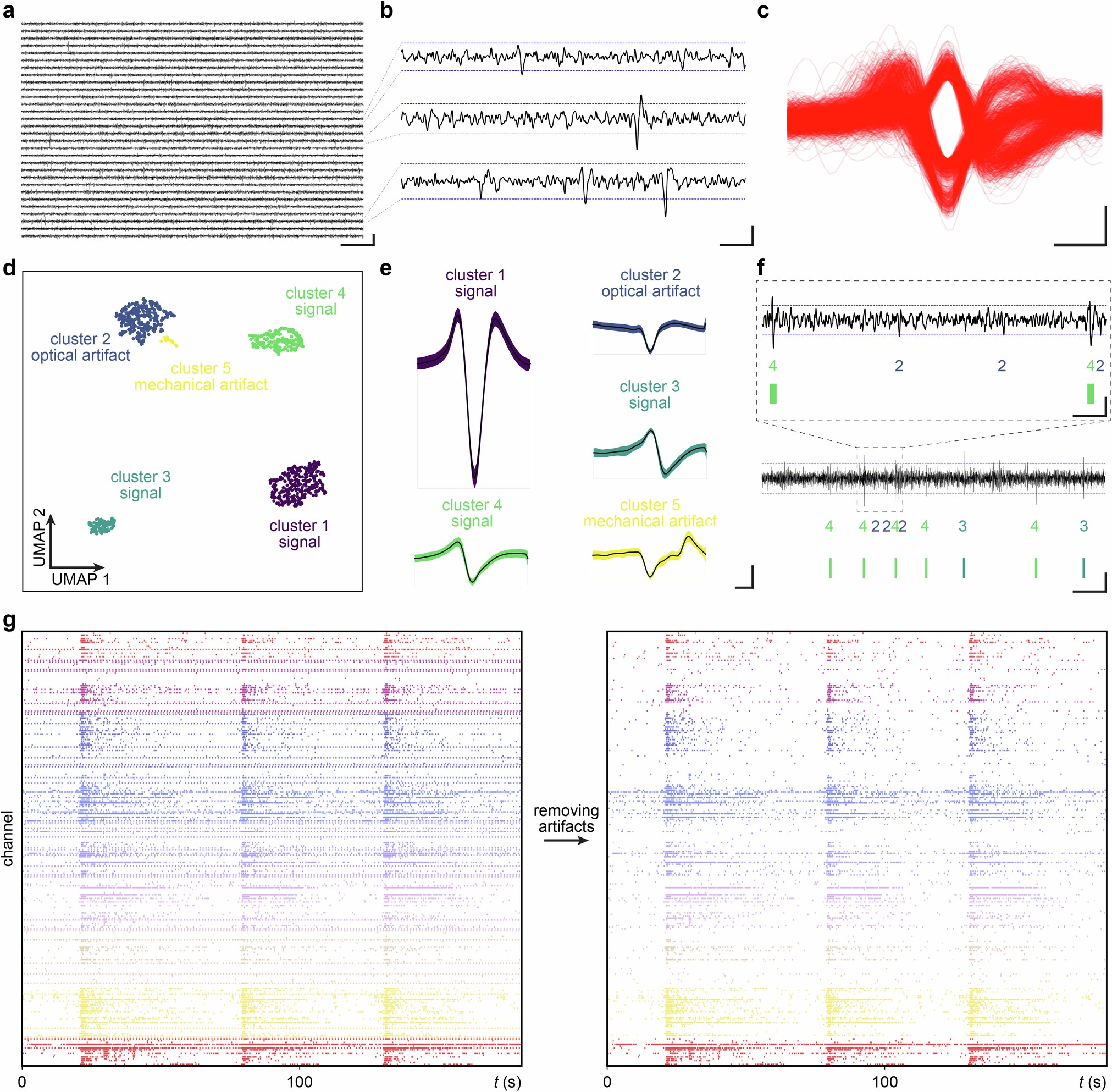 Extended Data Fig. 5: Data analysis of the electrophysiological signals.
