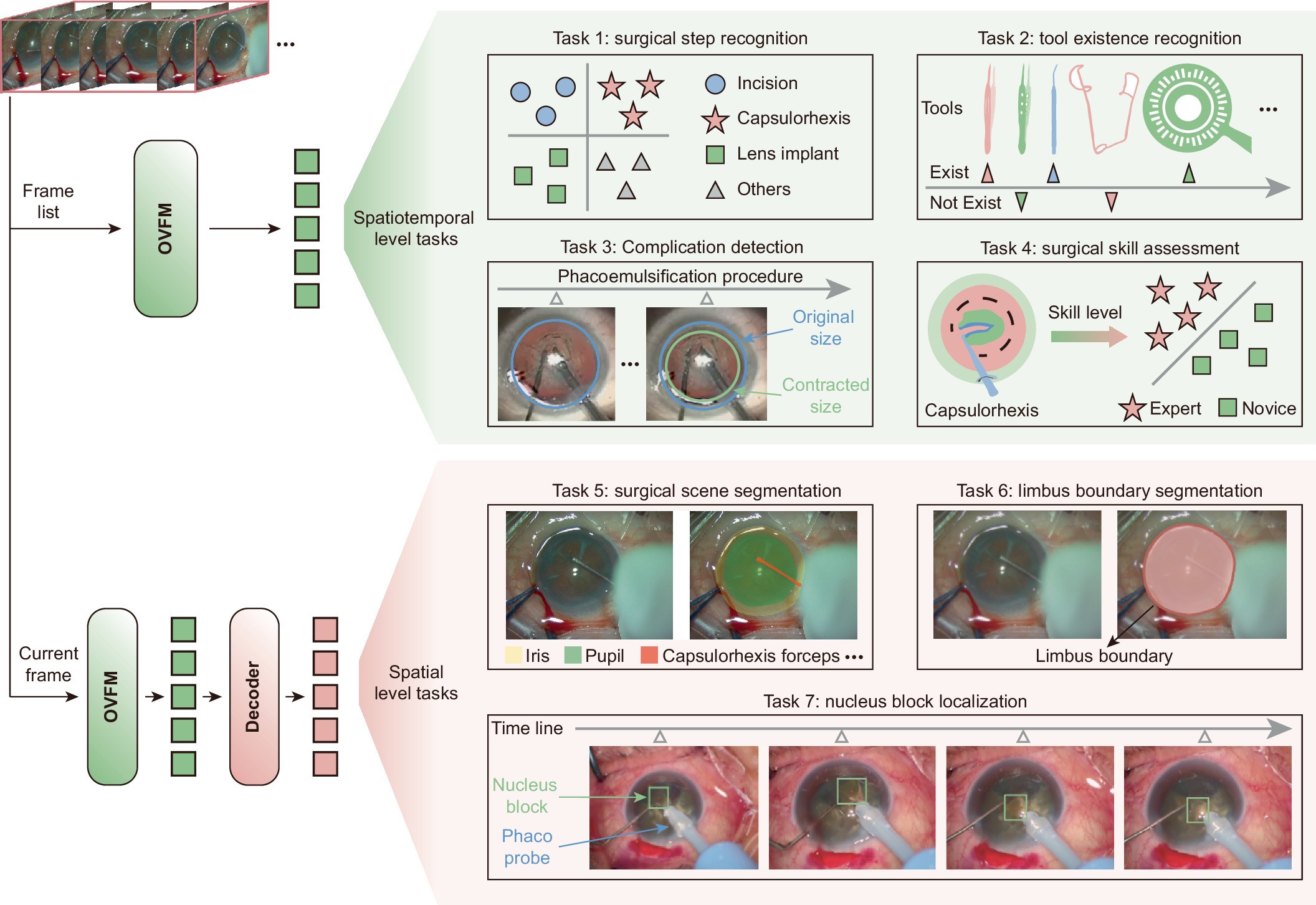 Extended Data Fig. 4: Schematics of the seven downstream tasks used to evaluate OVFM.