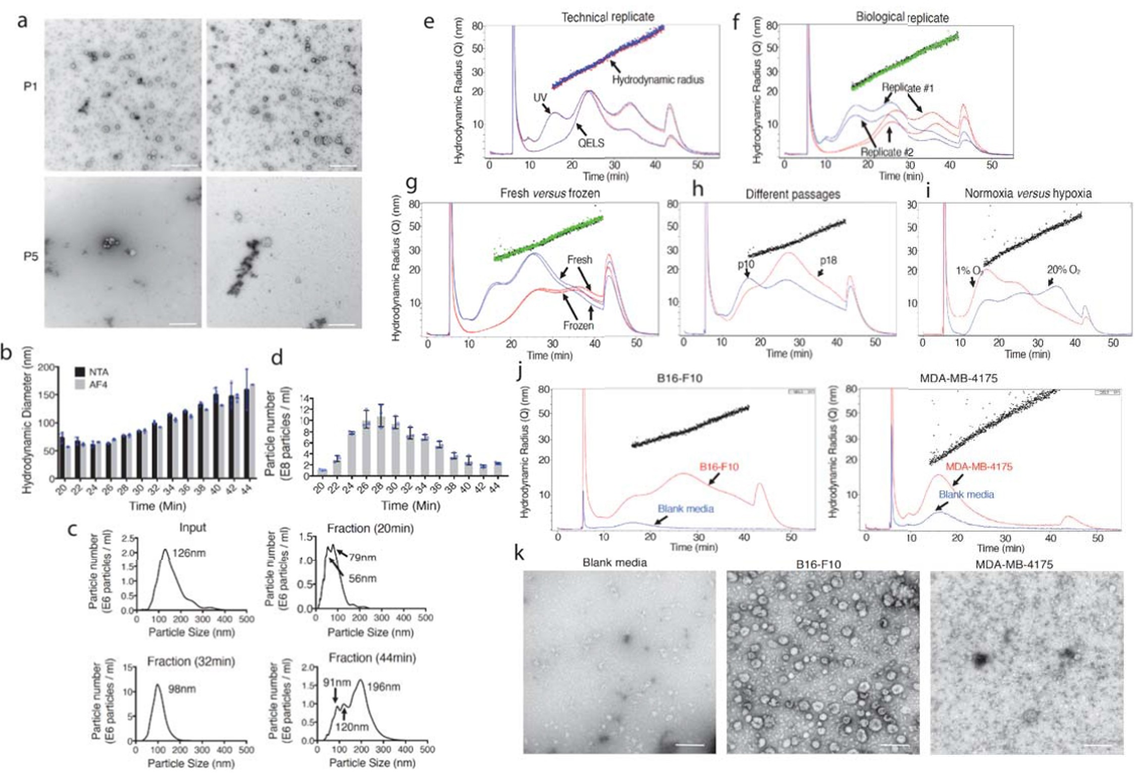 Supplementary Figure 1