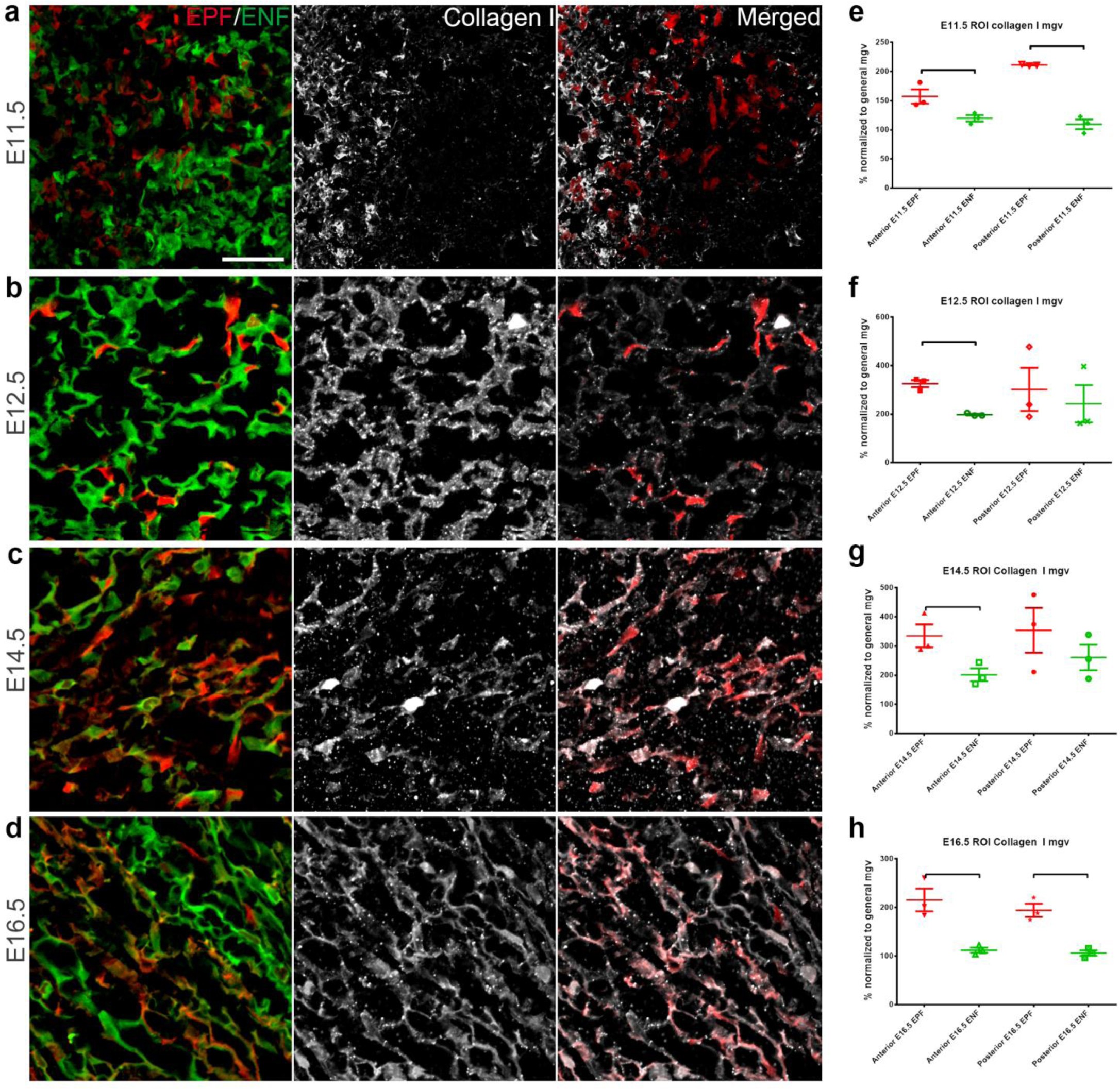 Supplementary Figure 3