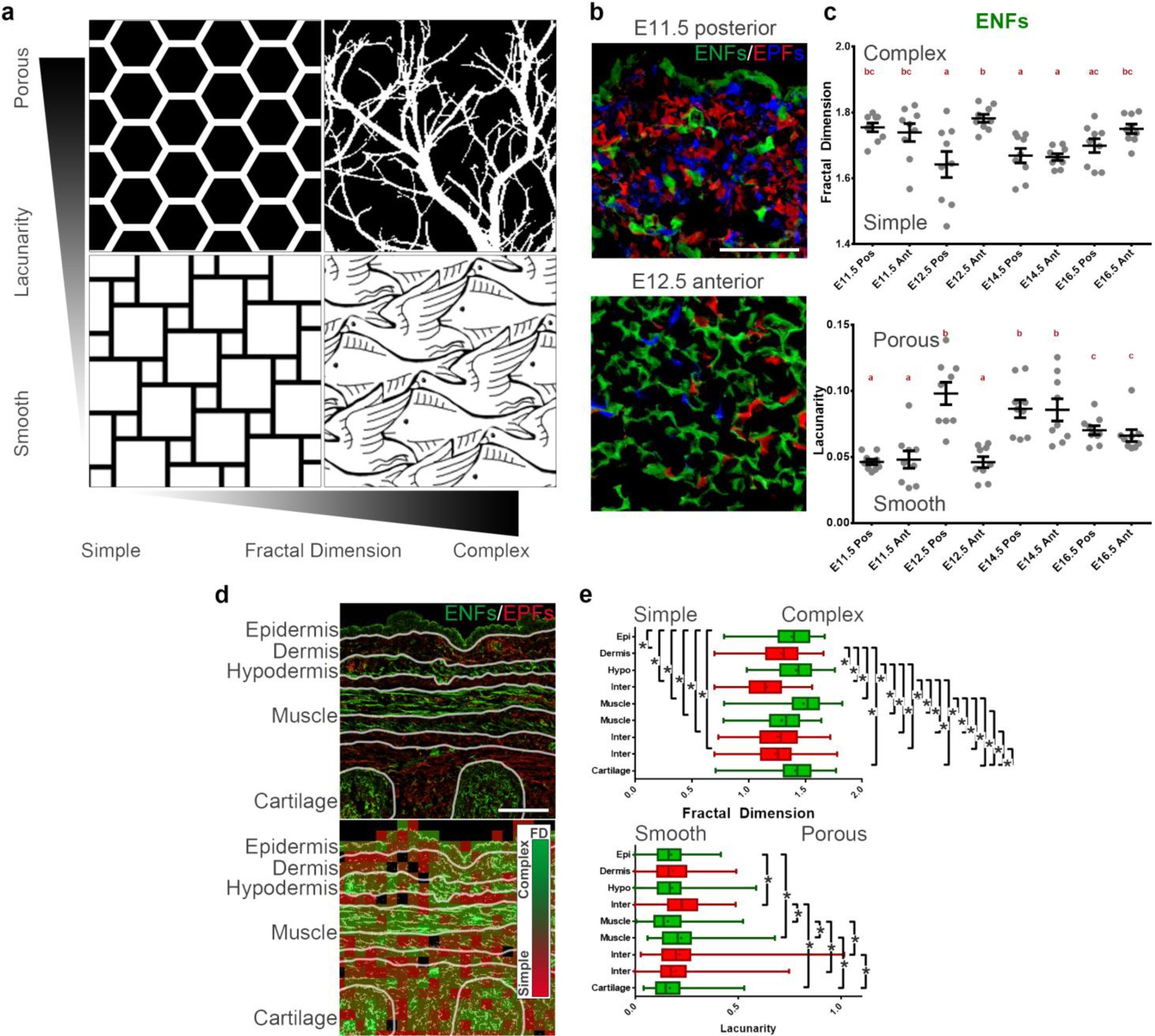 Supplementary Figure 5