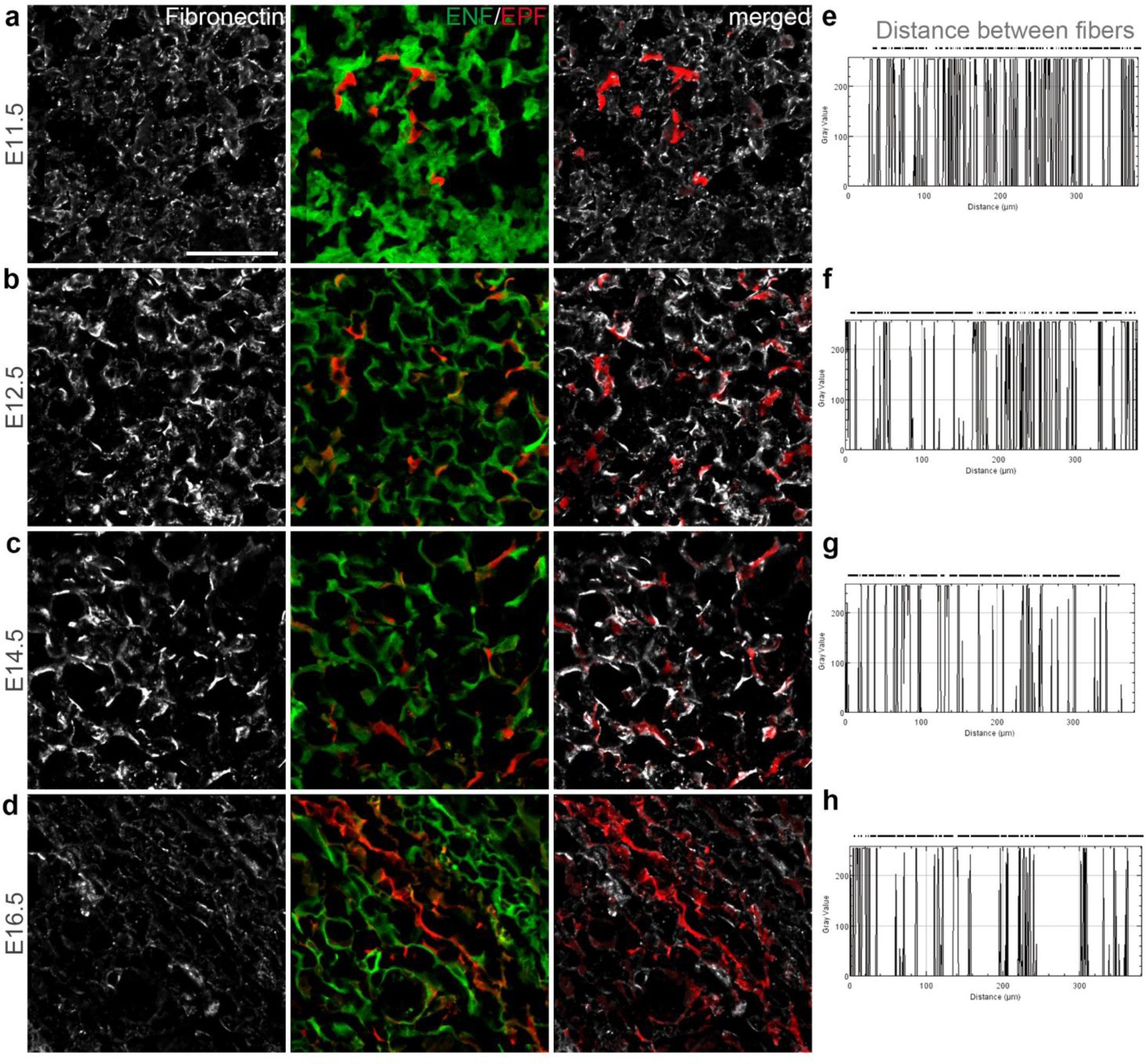 Supplementary Figure 6