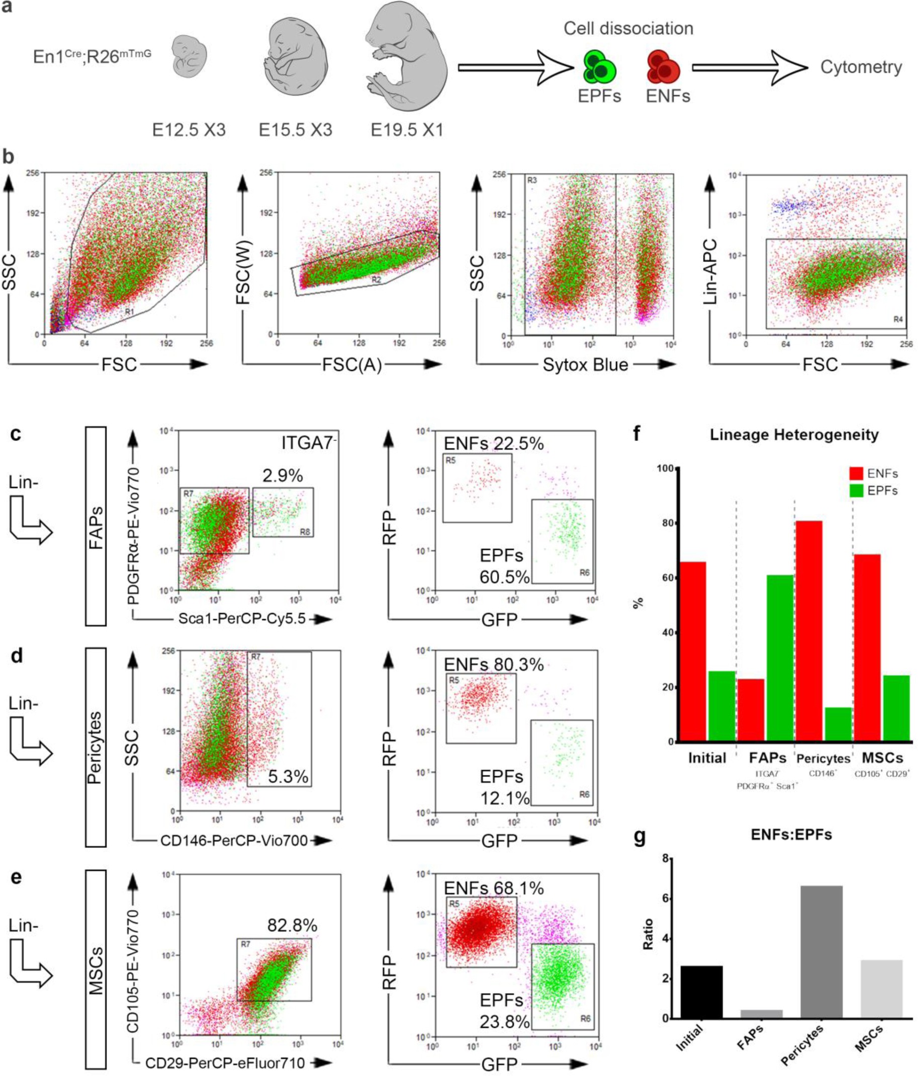 Supplementary Figure 1