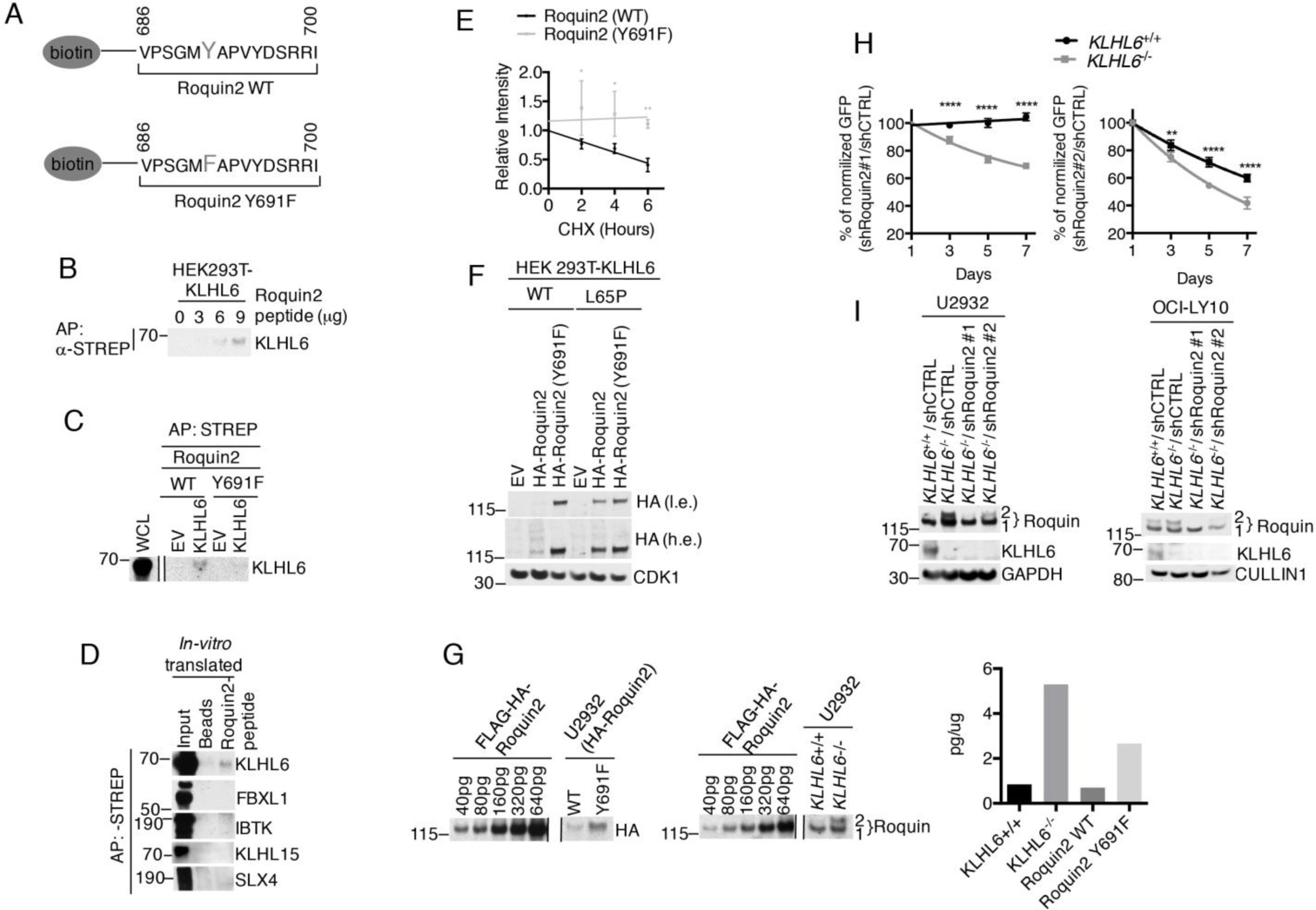 Supplementary Figure 4