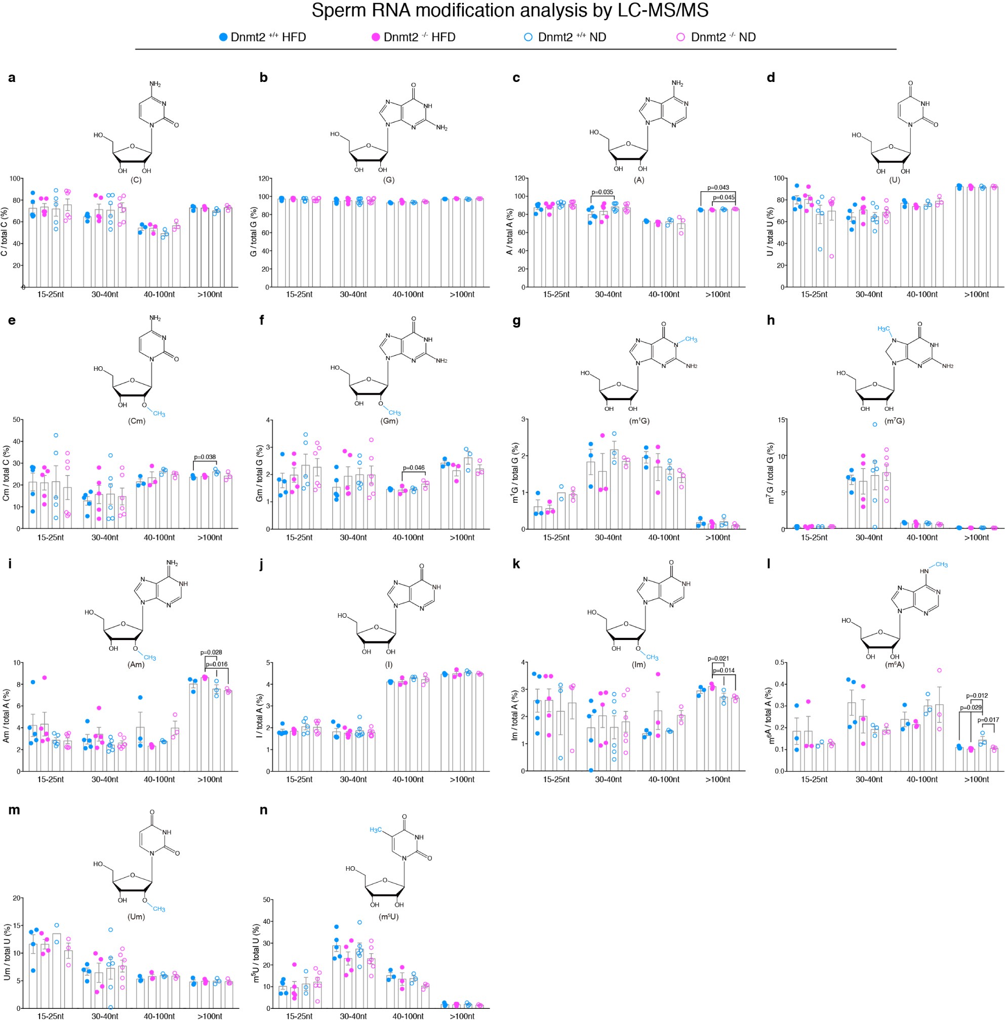 Supplementary Figure 2: The level of different type of RNA modifications in sperm RNA fractions extracted from F0 Dnmt2+/+ and Dnmt2–/– males under ND and HFD.
