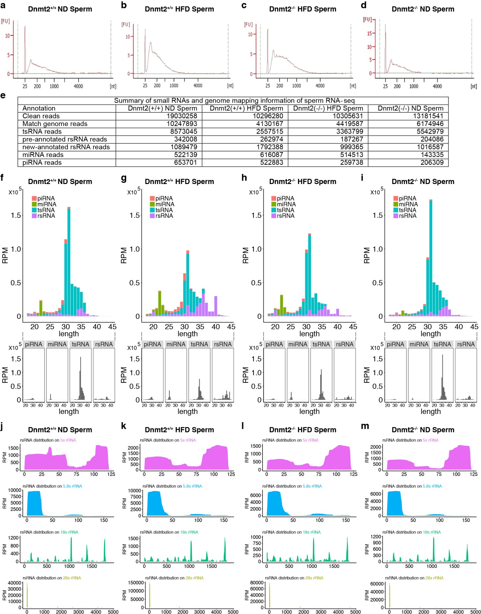 Supplementary Figure 3: Small RNA-seq analysis of sperm RNAs from F0 Dnmt2+/+ and Dnmt2–/– males under ND and HFD.