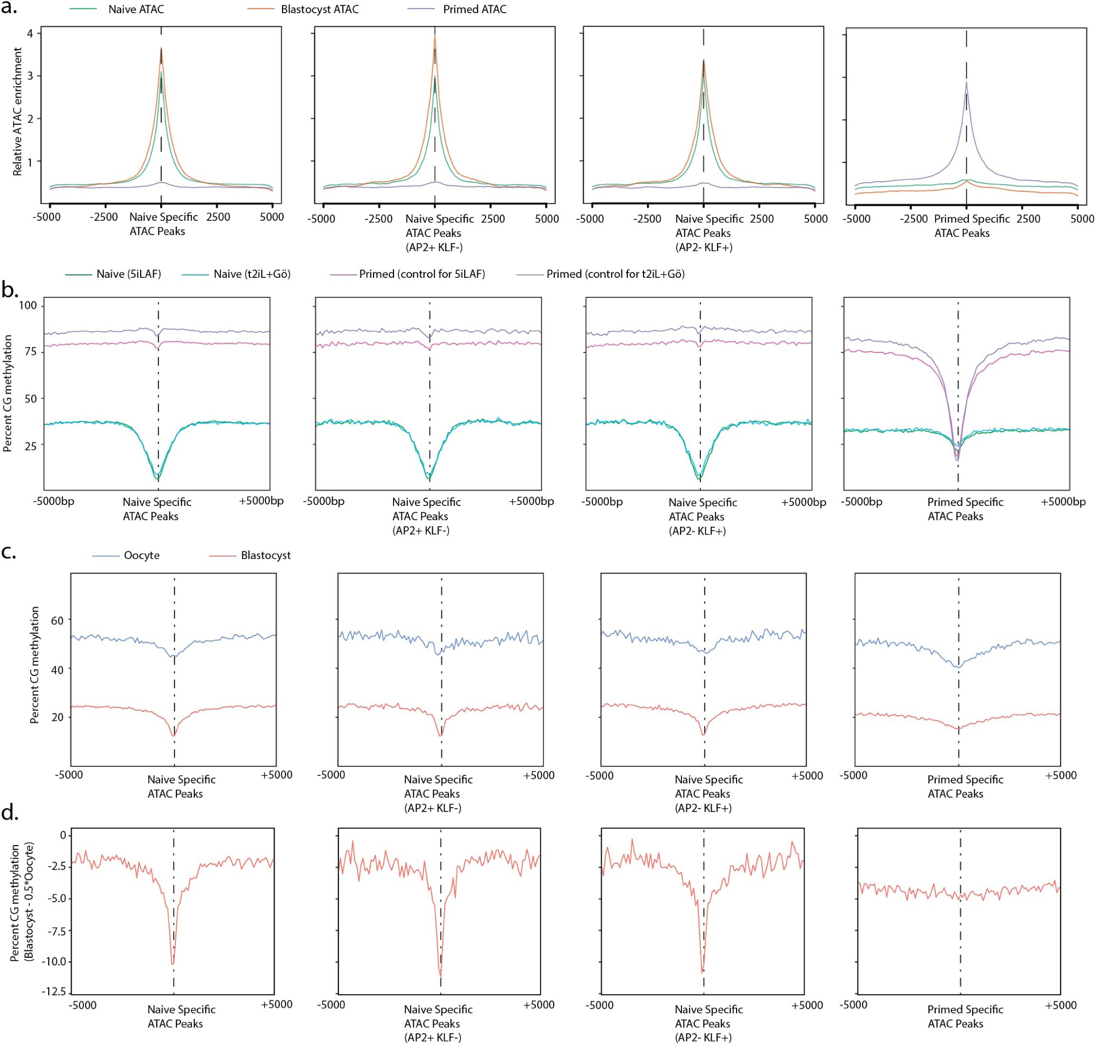 Supplementary Fig. 2